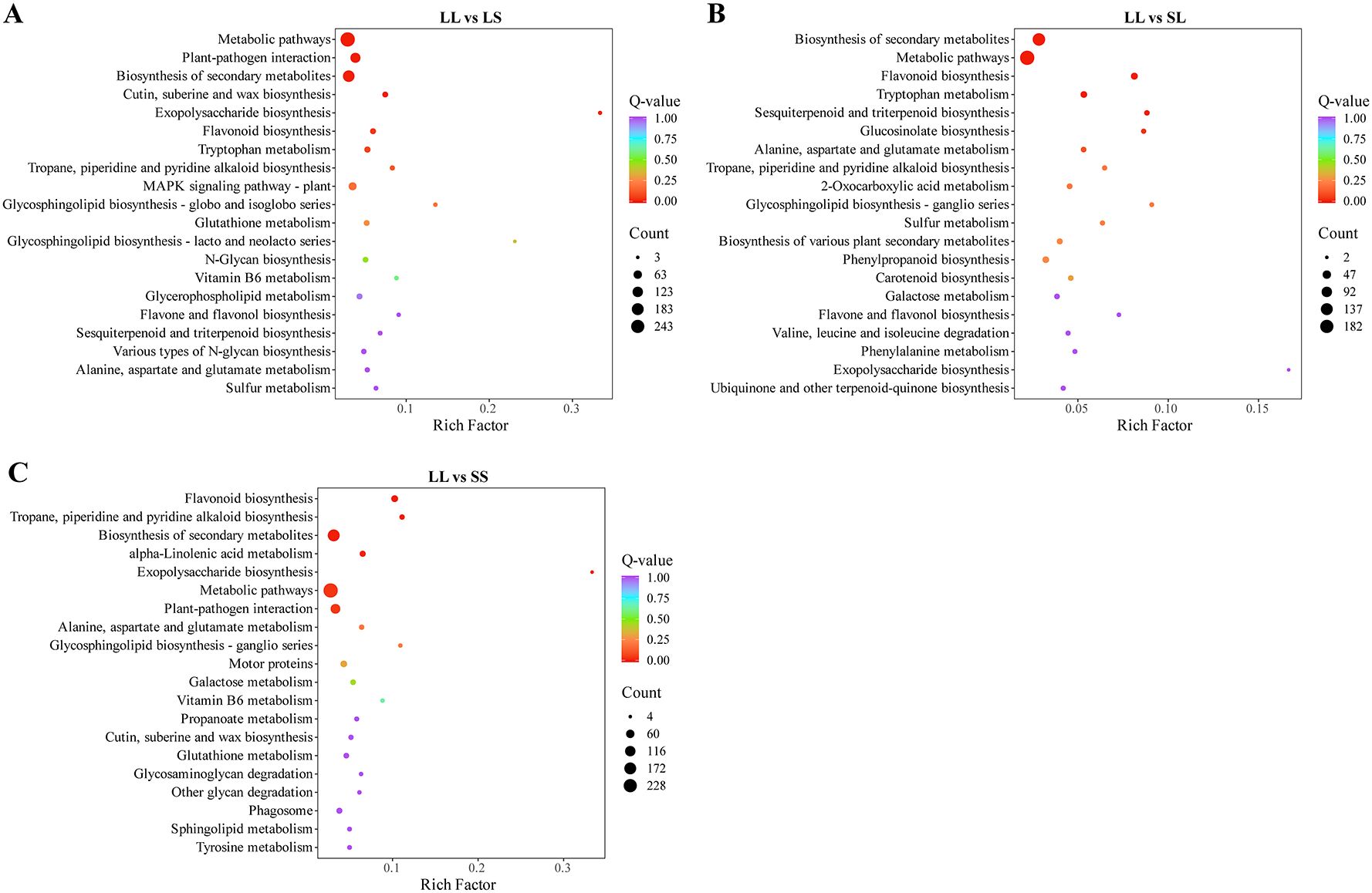 Three dot plots labeled A, B, and C compare metabolic pathways' rich factors and counts across different groups: LL vs LS, LL vs SL, and LL vs SS. The y-axes list various metabolic pathways, while the x-axes display the rich factor. Dot colors represent Q-values, with size indicating count.