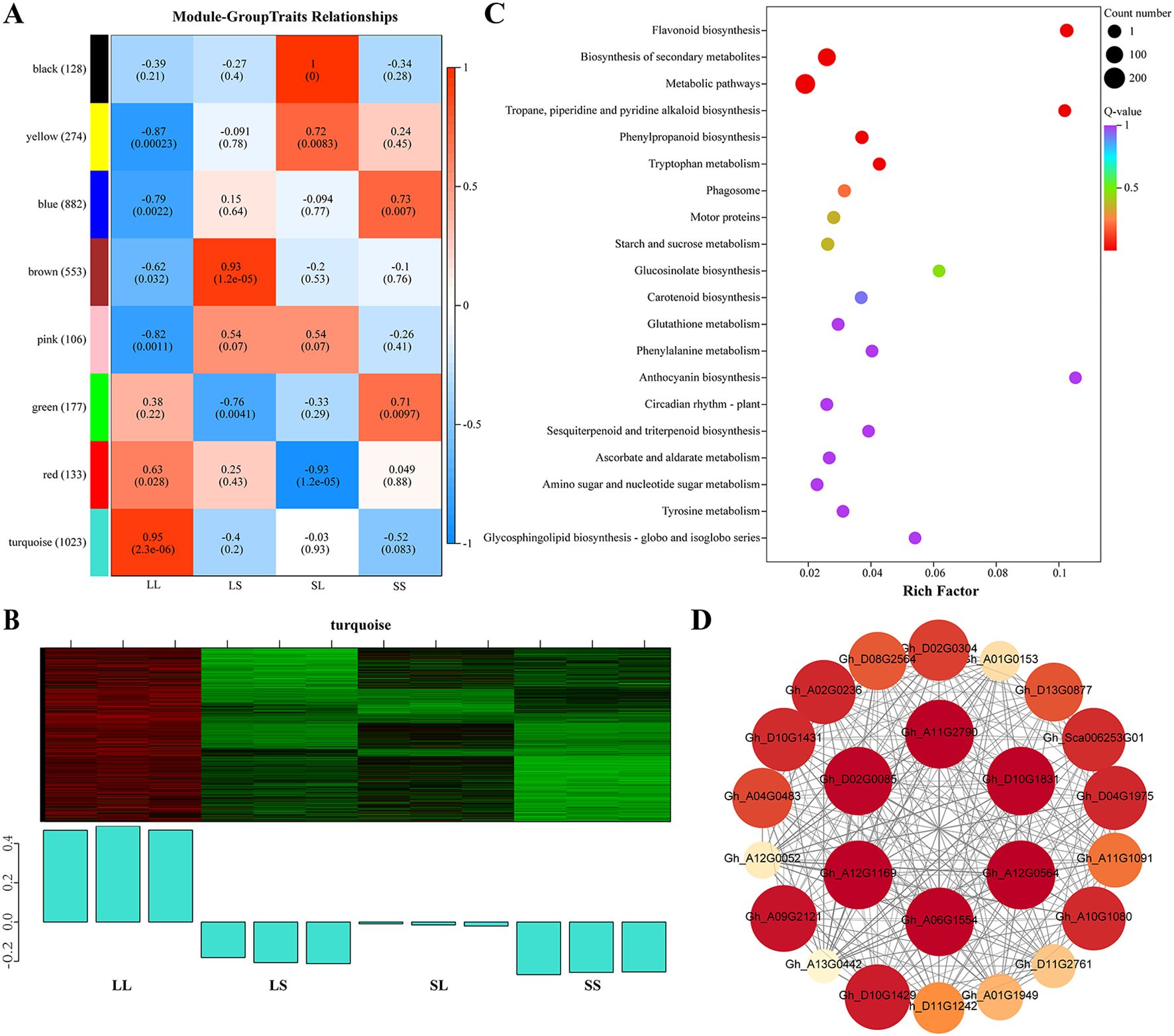 Panel A presents a heatmap showing module-group-trait relationships with varying colors representing correlation levels. Panel B displays a heatmap and bar graph for the turquoise module across different groups: LL, LS, SL, and SS. Panel C is a bubble chart illustrating metabolic pathways with dots sized by count number and colored by Q-value. Panel D shows a network diagram of interconnected nodes, each labeled with gene identifiers, arranged in clusters indicated by red and orange circles.