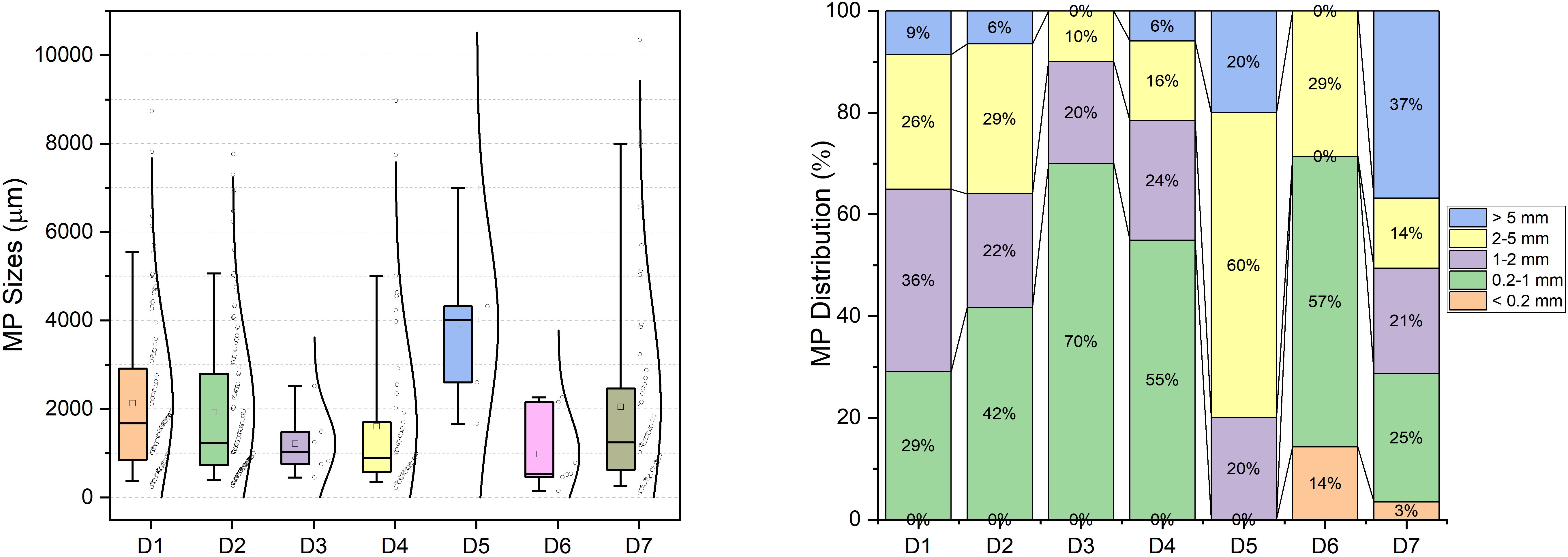 Two adjacent graphs display data on microplastic (MP) sizes. The left graph is a box plot showing MP sizes in micrometers across seven different days (D1 to D7). The right graph is a stacked bar chart presenting the percentage distribution of MP size groups (>5 mm, 2-5 mm, 1-2 mm, 0.2-1 mm, <0.2 mm) over these days. Different colors indicate size groups.