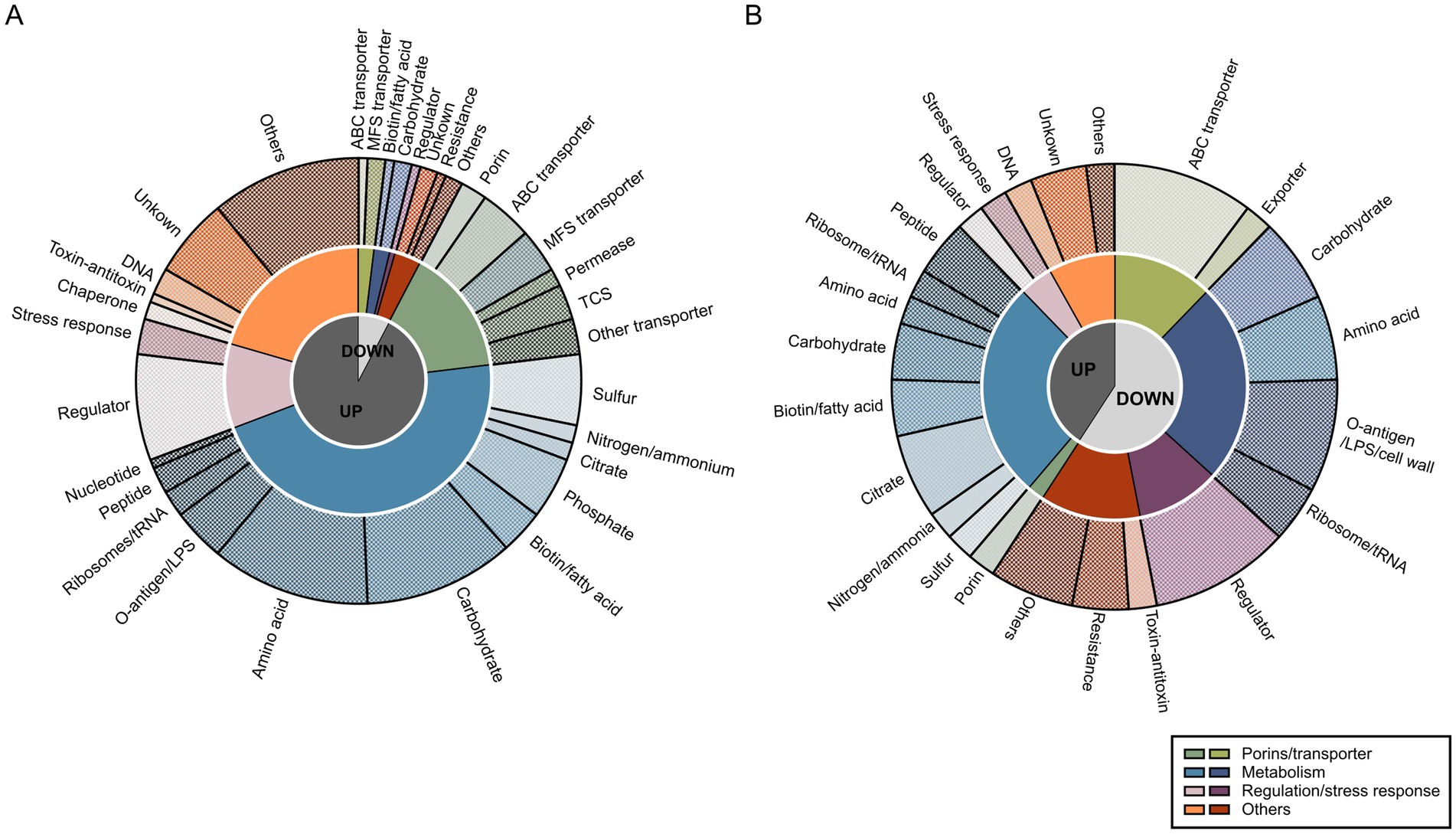 Krona plots labeled A and B, depicting categorized gene expression data. Each circle is divided into colored segments representing different gene categories, with inner circles labeled UP and DOWN. A color key indicates categories: porins/transporter (green), metabolism (blue), regulation/stress response (red), and others (orange).