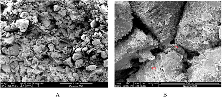 Side-by-side scanning electron microscope images of soil particles. Image A shows a lower magnification view of a densely packed soil structure. Image B, at higher magnification, reveals a closer look at the loose soil matrix, with a marked area labeled