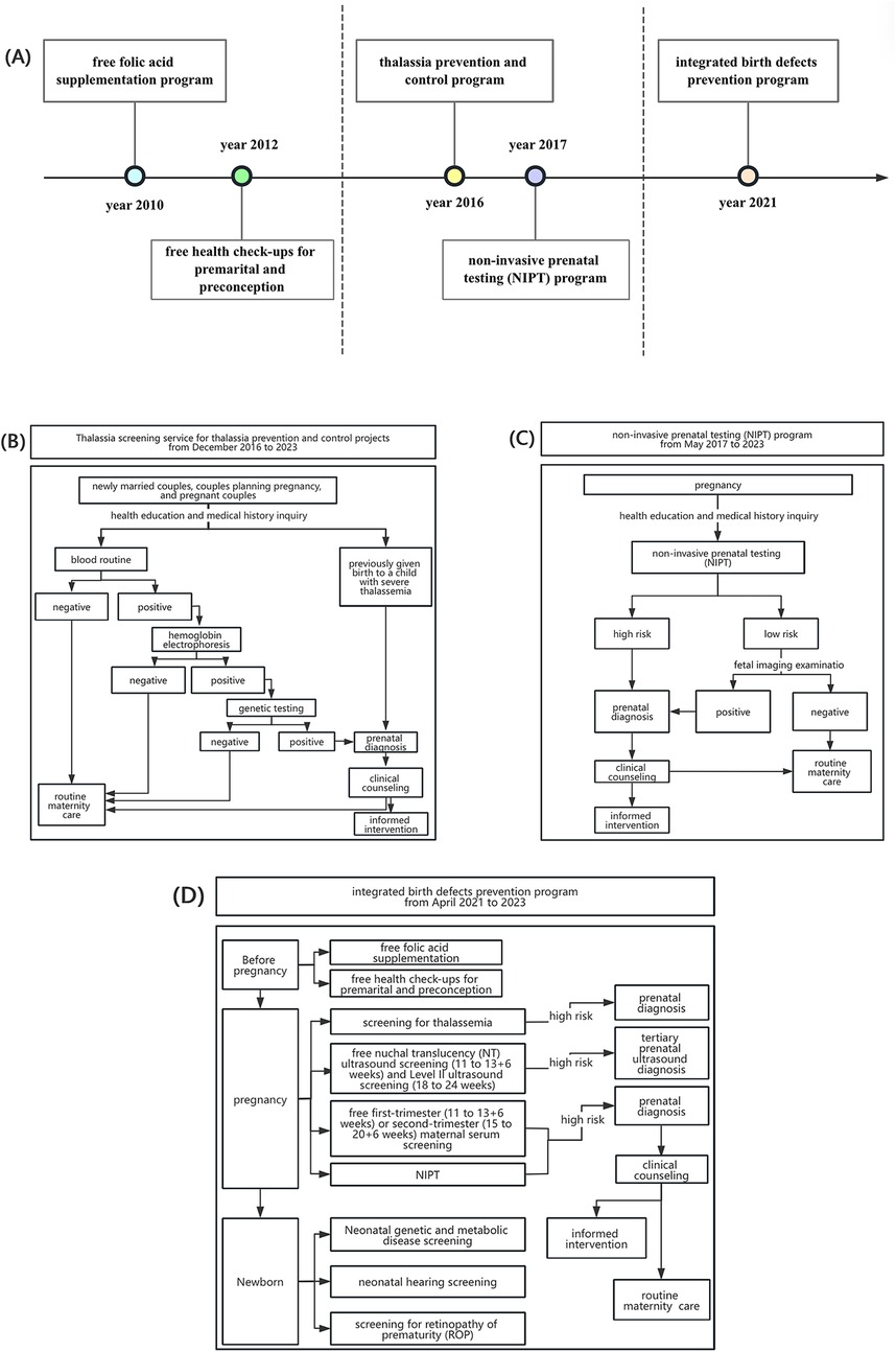 Timeline and flowcharts outlining the implementation of programs from 2010 to 2023, including free folic acid supplementation, thalassemia prevention, and integrated birth defect prevention. The flowcharts detail processes for screening services, non-invasive prenatal testing (NIPT), and the integrated birth defects prevention program. Each flowchart includes decision points and outcomes related to health education, genetic testing, prenatal diagnosis, and routine maternity care. The programs aim to identify and manage potential health risks before and during pregnancy, and for newborns.