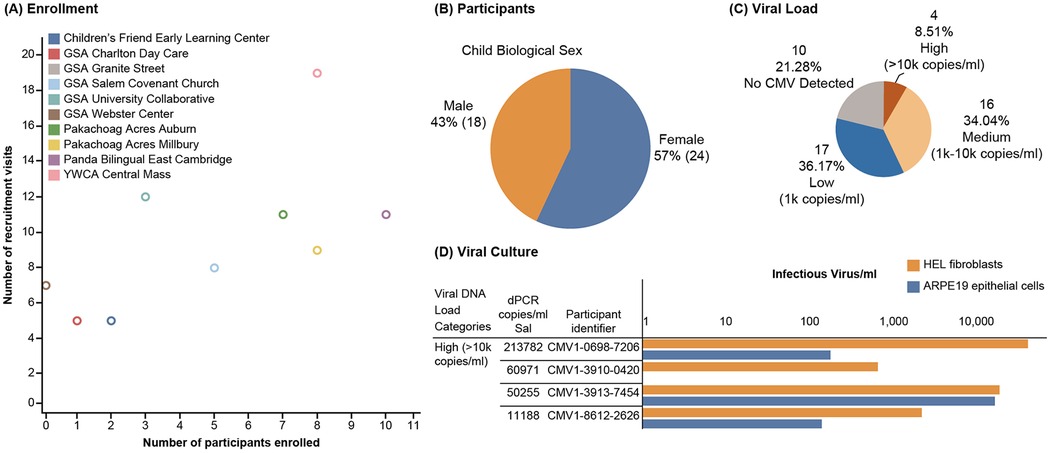 A four-part infographic: (A) Enrollment: A scatter plot shows recruitment visits versus the number of participants enrolled across ten centers, each with a distinct color. (B) Participants: A pie chart shows 43% male (18) and 57% female (24) participants. (C) Viral Load: A pie chart divides participants into viral load categories: 21.28% with no CMV, 36.17% low, 34.04% medium, and 8.51% high. (D) Viral Culture: A bar graph compares infectious virus/ml in HEL fibroblasts and ARPE19 epithelial cells, with viral DNA load categories and participant identifiers listed in a table.