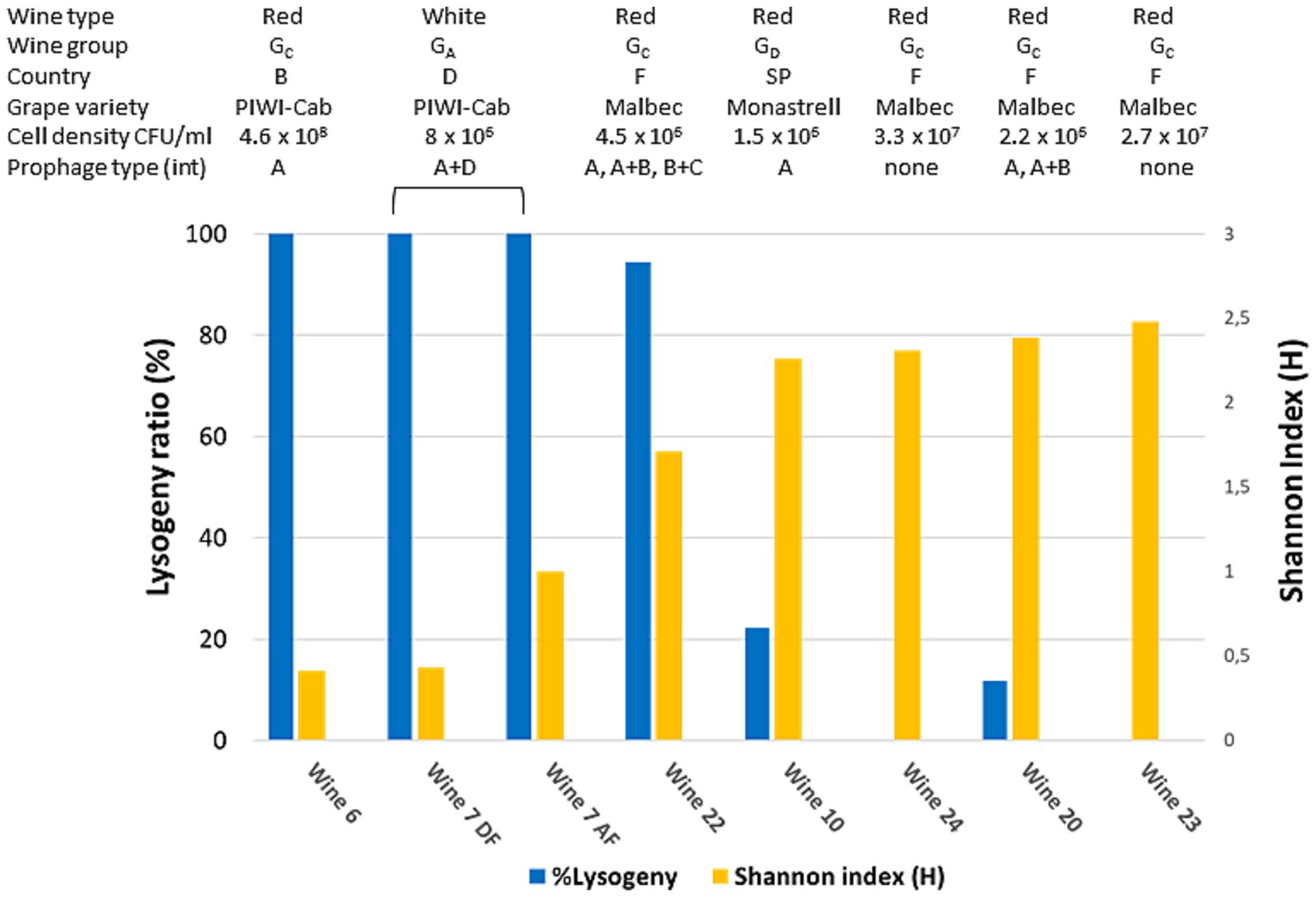 Bar chart comparing lysogeny ratio (in blue) and Shannon index (in yellow) across different wine samples. The x-axis lists wines: Wine 6, Wine 7 DF, Wine 7 AF, Wine 22, Wine 10, Wine 24, Wine 20, and Wine 23. The lysogeny ratio is highest for Wines 6, 7 DF, 7 AF, and Wine 22. The Shannon index is highest for Wines 23, 22, and 24. The Shannon index is highest for Wines 23, 20 and 24 and 10. The chart includes detailed notes on wine type, group, grape variety, cell density, and prophage type.