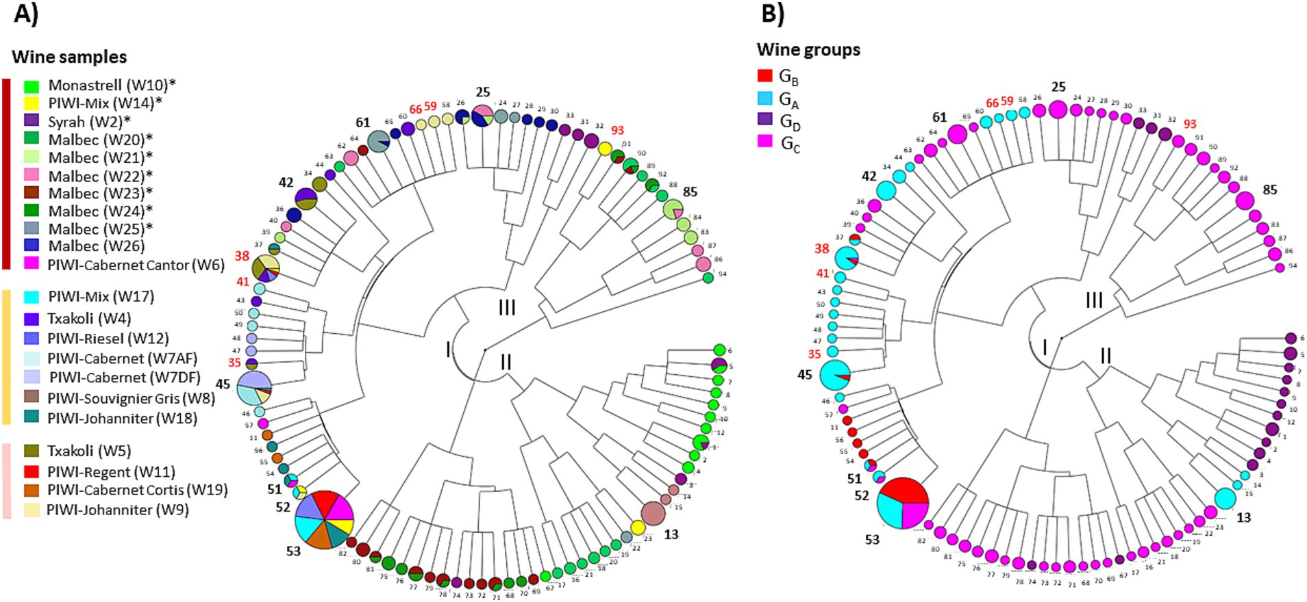 Cladograms representing the Inter-profile distance tree obtained with the 94 original VNTR profiles. (A) Distribution of profiles by wines. The area of the circles is proportional to the number of isolates belonging to the profile. More frequent profiles (n°) are represented in bold. Those shared with commercial cultures are in red. (B) Distribution of VNTR profiles by wine groups (GA to GD). Panel A shows a key for wine samples, each represented by different colored nodes. Panel B displays wine groups labeled \(G_B\), \(G_A\), \(G_D\), and \(G_C\), each with distinct colors. The dendrograms illustrate the relationships among the samples and groups, with branches connecting the nodes indicating similarities or clusters.
