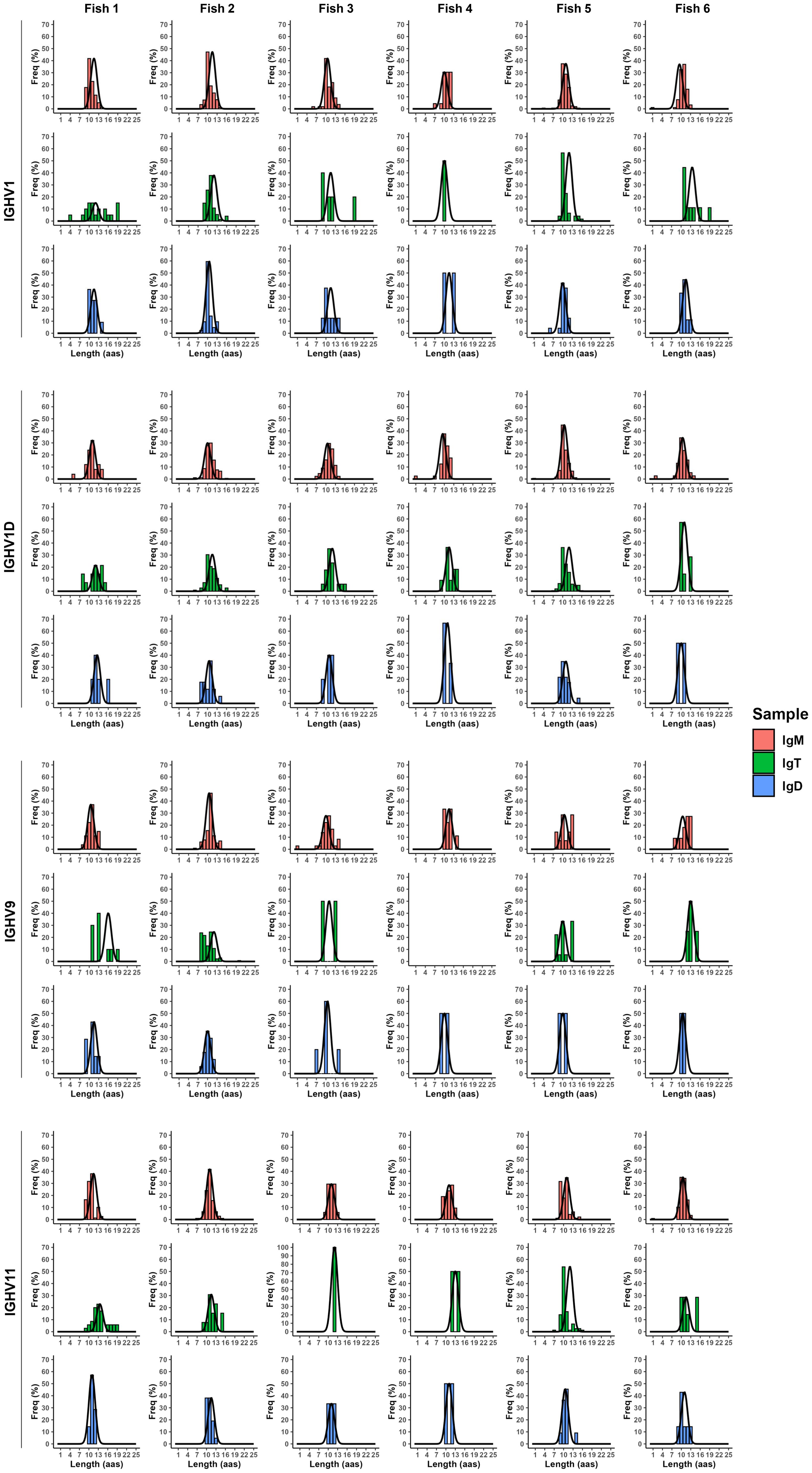 Grid of histograms representing frequency distributions of immunoglobulin heavy chain variable (IGHV) genes for six fish across the most used Vh genes: IGHV1, IGHV1D, IGHV9, and IGHV11. Each group shows frequency on the y-axis and length (aas) on the x-axis, with sample categories IgM, IgT, and IgD color-coded in red, green, and blue. The black curved lines represent the theoretical normal distribution adjusted to each plot.