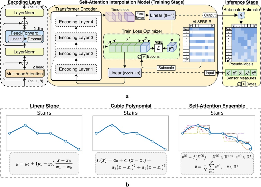 Diagram illustrating a self-attention interpolation model. Part a shows the training and inference stages with a Transformer encoder composed of multiple encoding layers. The model optimizes using mean squared error and includes subscale estimates. Part b presents three graph types: Linear Slope, Cubic Polynomial, and Self-Attention Ensemble, each with corresponding mathematical equations for interpolating ALSFRS-R stair sub-scale as example.
