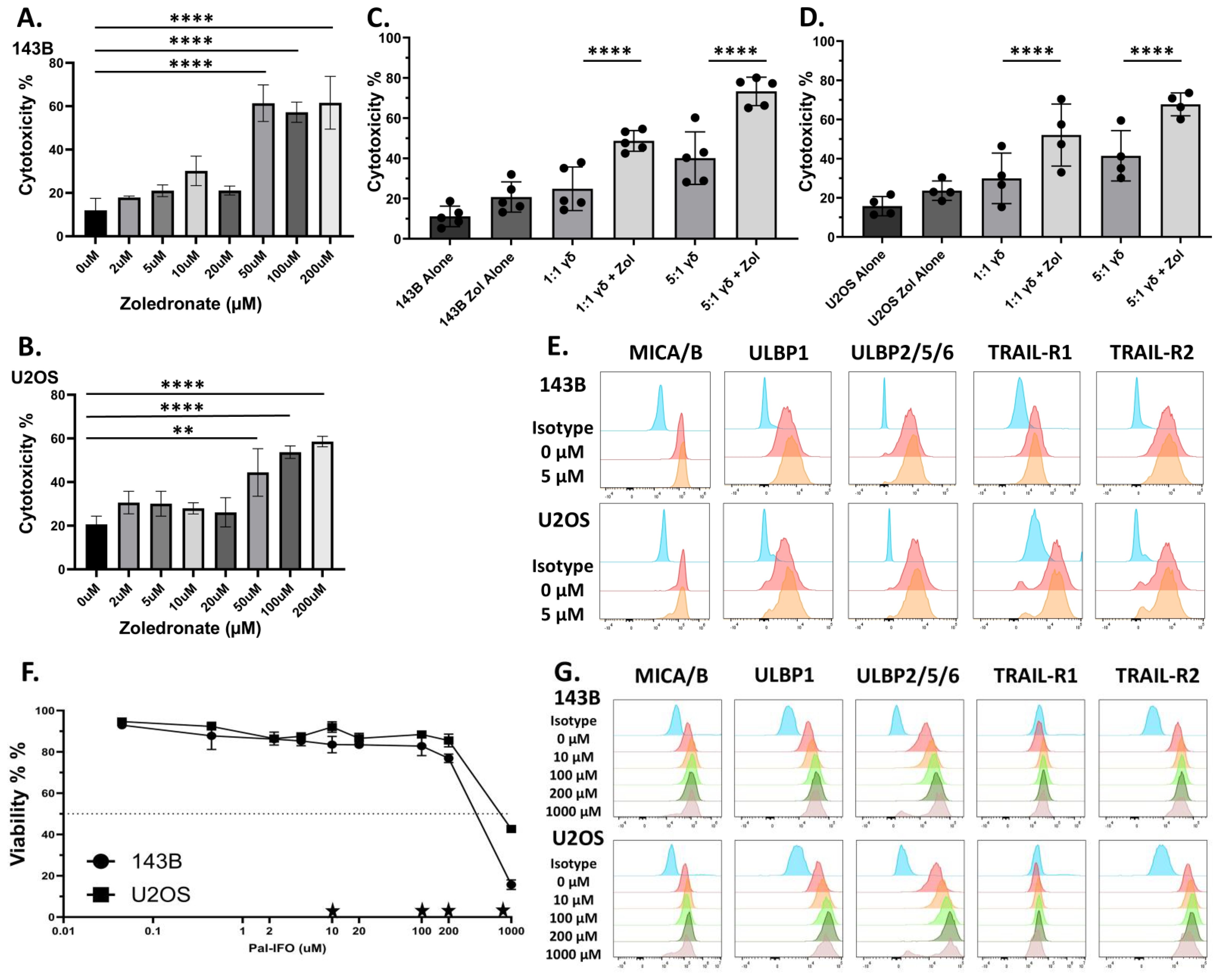 Bar and line graphs, along with flow cytometry histograms, depict cytotoxicity and viability data across different concentrations and conditions. Panels A and B show increasing cytotoxicity percentages with higher drug concentrations. Panels C and D compare different conditions, indicating statistical significance. Panel E displays histograms of surface markers at varying concentrations. Panel F presents a line graph of cell viability percentages for 143B and U2OS cell lines across increasing doses of Pal-IFO. Panel G shows histograms of surface marker expression for different concentrations, highlighting dose-dependent changes. Statistical significance is indicated with asterisks.