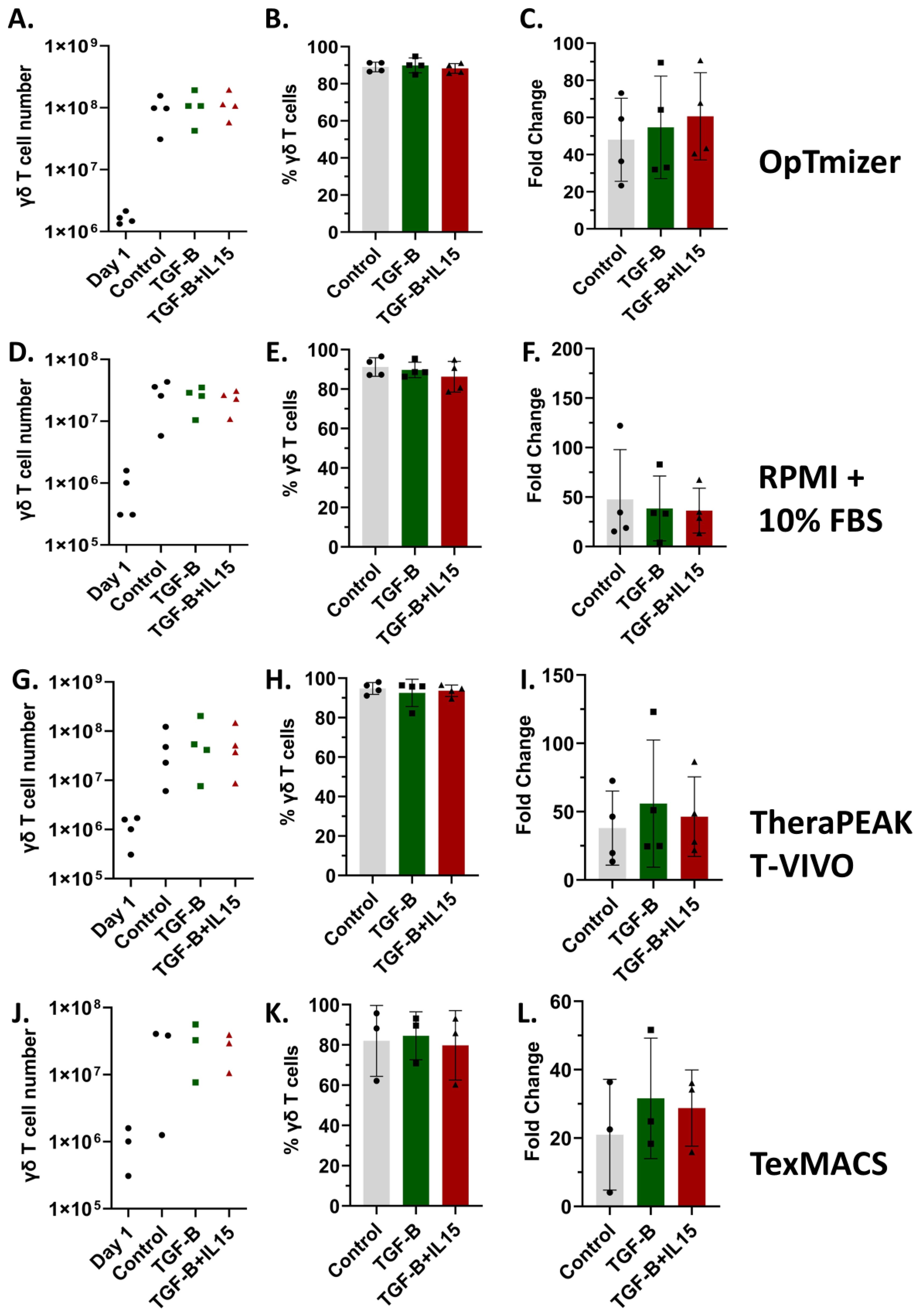 Graphical analysis of γδ T cell numbers, percentage, and fold change across different conditions and media. Panels A, D, G, and J show γδ T cell numbers for Opti-Mizer, RPMI with 10% FBS, TheraPEAK T-VIVO, and TexMACS, respectively. Panels B, E, H, and K depict the percentage of γδ T cells, and panels C, F, I, and L show fold change for the respective media. Conditions include Control, TGF-B, TGF-B with IL-15, and Day 1 baseline. Data points display experimental variability.