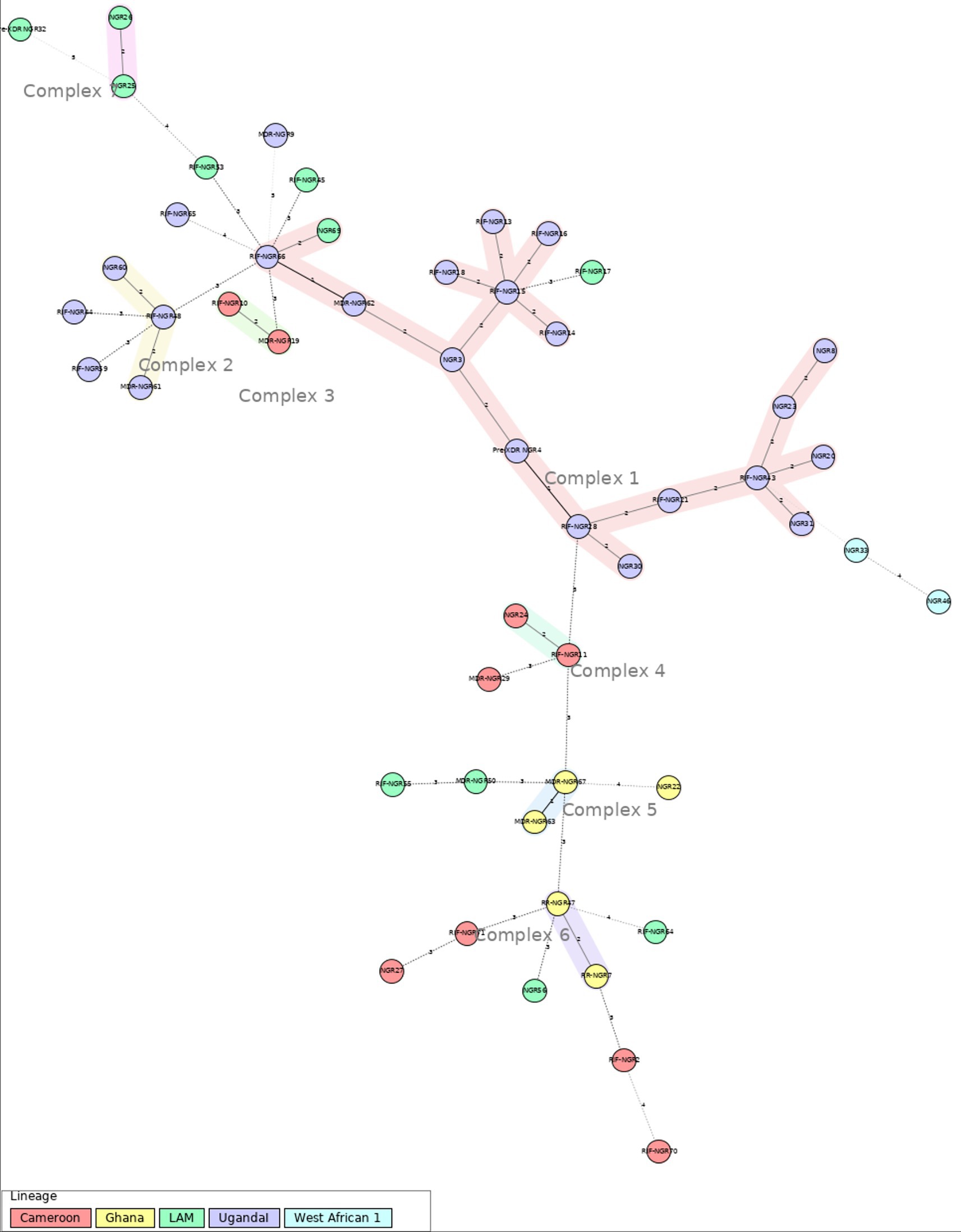 Network diagram showing complexes labeled One through Six, with nodes connected by arrows. Nodes are color-coded to represent different lineages: red (Cameroon), green (Ghana), yellow (LAM), blue (Uganda), and purple (West African 1). A legend explains the colors. Complex One is central with branching pathways.