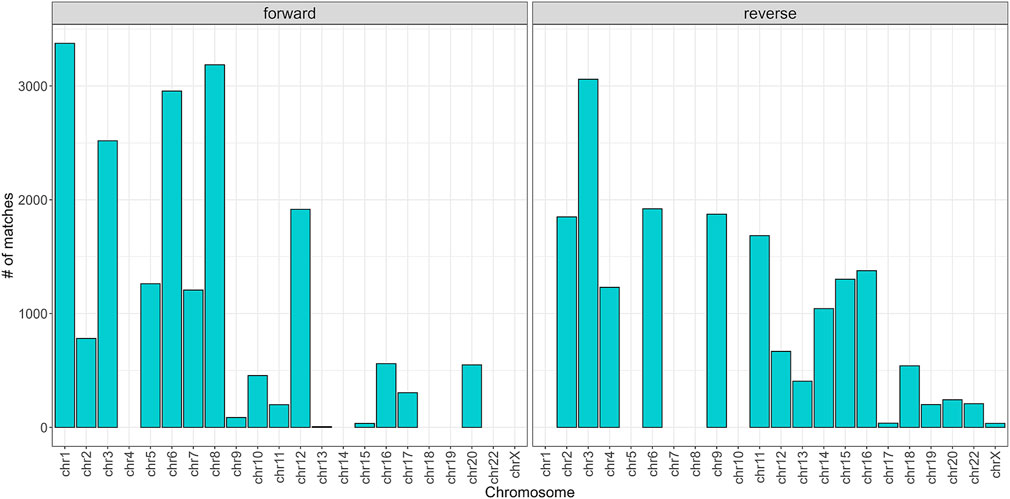 Bar charts compare the number of matches across chromosomes for forward and reverse categories. The forward chart shows high matches in chromosomes 1, 5, and 11. The reverse chart shows high matches in chromosomes 2, 9, and 16. Matches are generally lower for other chromosomes.