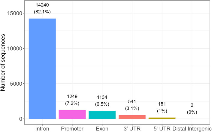 Bar chart showing the number of sequences in different genomic regions. Introns have the highest count at 14,240 sequences (82.1%), followed by promoters with 1,249 (7.2%), exons with 1,134 (6.5%), 3' UTR with 541 (3.1%), 5' UTR with 181 (1%), and distal intergenic with 2 (0%). The vertical axis represents the number of sequences.