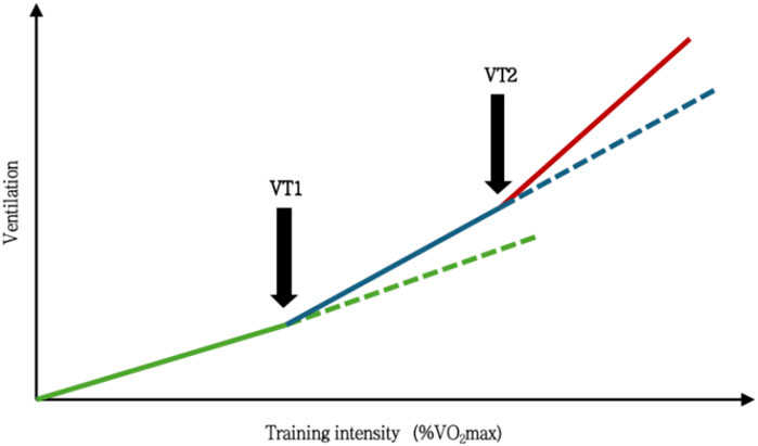Graph showing the relationship between ventilation and training intensity as a percentage of VO₂ max. Two thresholds, VT1 and VT2, are marked with arrows. A green line indicates initial increase, transitioning to a blue line at VT1 and red line at VT2, indicating increasing intensity.