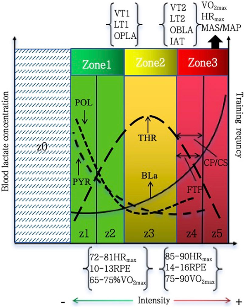 Diagram illustrating exercise intensity zones, training frequency, and blood lactate concentration. It features three zones: Zone 1 (green), Zone 2 (yellow), and Zone 3 (red). Each zone indicates specific thresholds and metrics like VO2 max, heart rate, and RPE. Arrows and lines denote changes in factors like lactate accumulation (BLa) and threshold points (VT1, VT2). The bottom labels indicate intensity levels and heart rate ranges.
