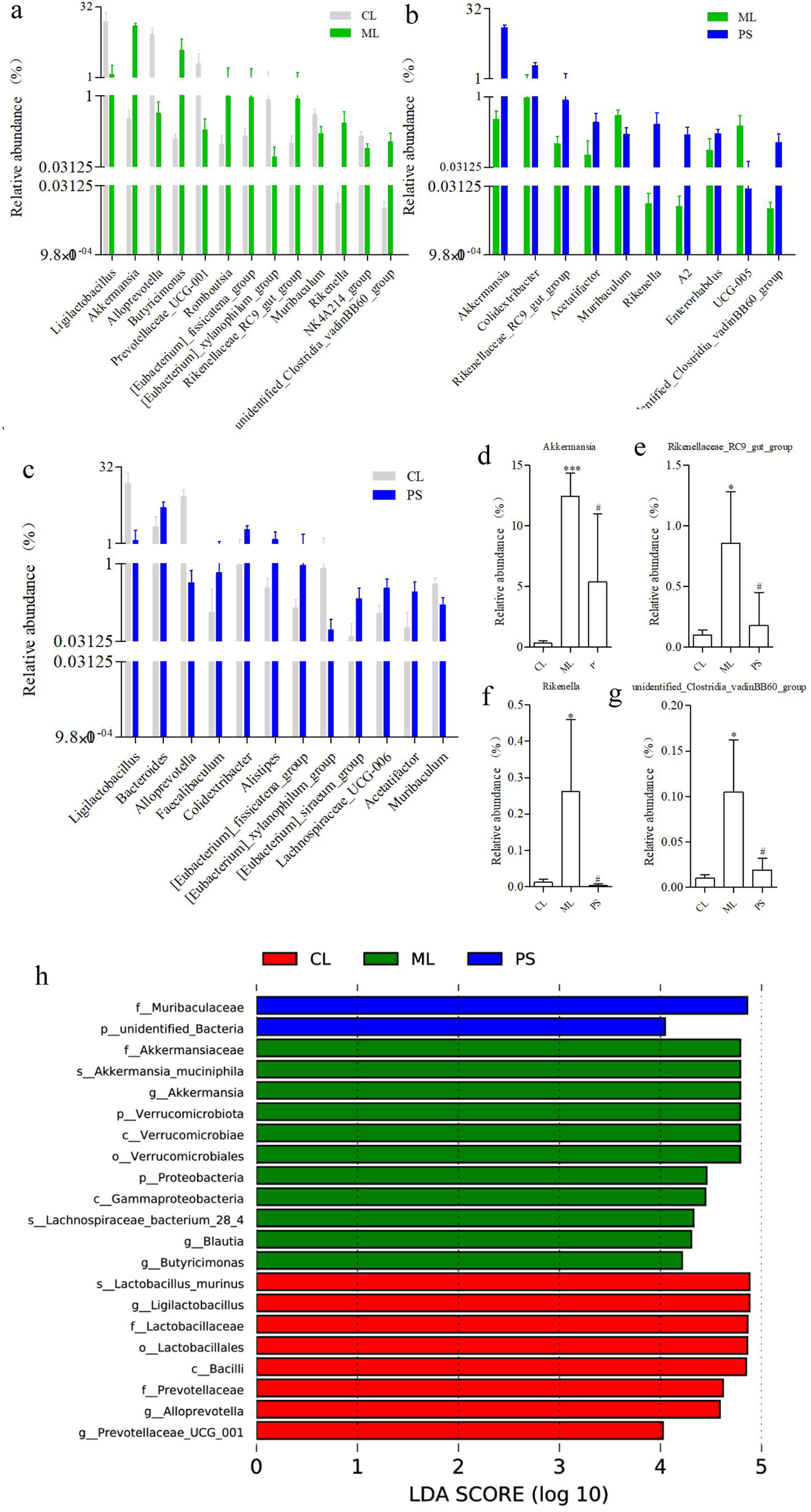 Bar charts display the relative abundance of various bacterial groups across different conditions labeled as CL, ML, and PS. Charts a, b, and c compare these conditions. Sub-charts d to g highlight specific bacteria like Akkermansia and Rikenellaceae. Chart h presents LDA scores, showing differentiation among groups with distinct colors for CL, ML, and PS.