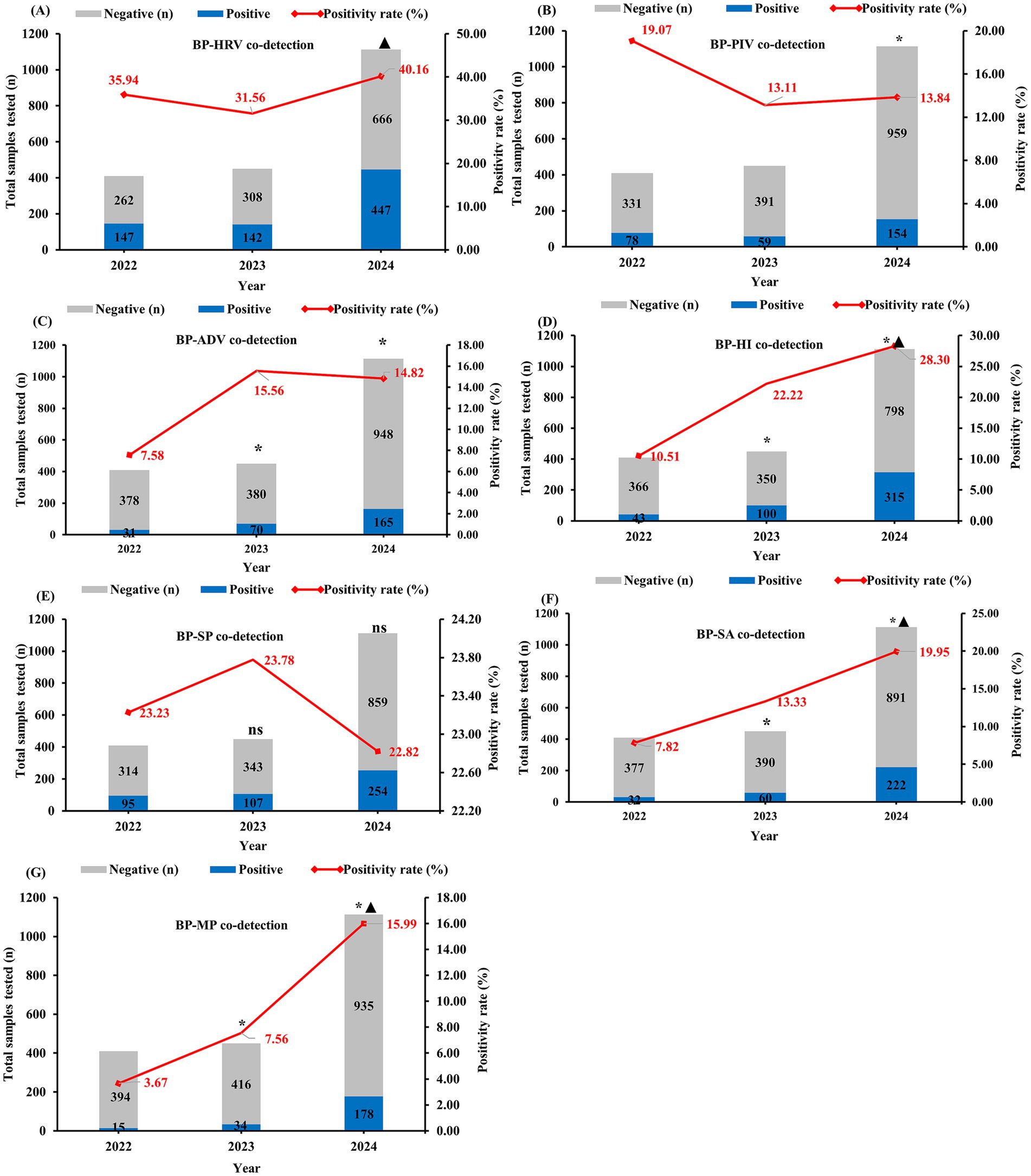 Seven line graphs (A-G) show co-detection data from 2022 to 2024, illustrating the number of positive and negative samples along with positivity rates for various pathogens: BP-HRV, BP-PIV, BP-ADV, BP-HI, BP-SP, BP-SA, and BP-MP. Each graph shows an increase in total samples tested and depicts trends with varying positivity rates indicated by red lines, where asterisks and triangles denote statistically significant differences.