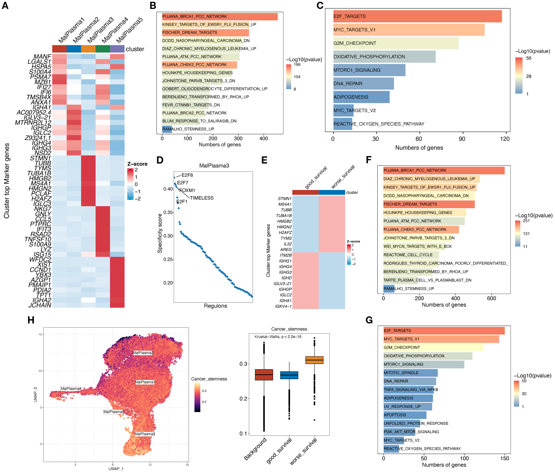 Clustered heatmaps and bar charts display gene expression data. Panel A shows a heatmap of top marker genes. Panels B and F illustrate gene set enrichment bar plots with numbers of genes and p-values. Panel C is a pathway analysis of gene targets. Panel D plots regulon specificity scores. Panel E shows a heatmap of top markers related to survival. Panel G is another pathway analysis. Panel H features a UMAP visualization of gene clusters and a boxplot contrasting cancer stemness metrics against survival data.