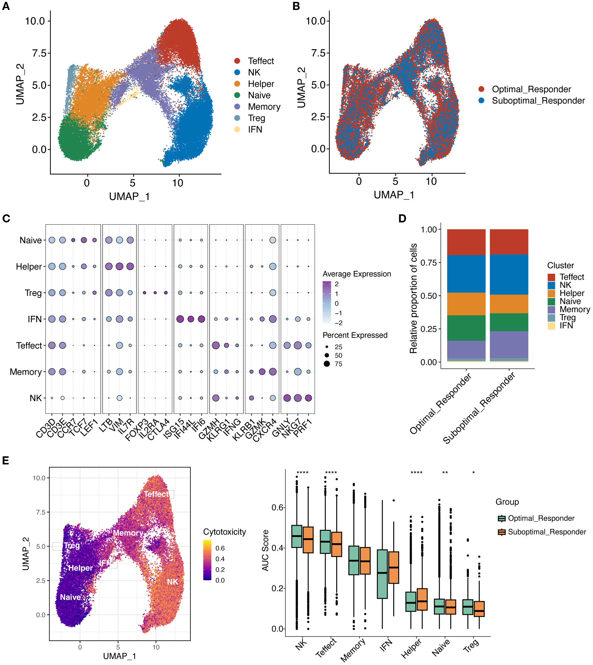 The Image panel contains various visualizations of cell data analysis. Panel A: UMAP plot showing cell clusters labeled as Teffect, NK, Helper, Naive, Memory, Treg, and IFN. Distinct colors represent each cluster. Panel B: UMAP plot comparing Optimal and Suboptimal Responders. Red and blue dots denote different responder types. Panel C: Dot plot illustrating average gene expression and percentage expressed across different cell types. Panel D: Bar chart showing the relative proportion of cell types in Optimal and Suboptimal Responders. Panel E: UMAP plot displaying cytotoxicity levels across cell types, with a box plot comparing AUC scores between groups.