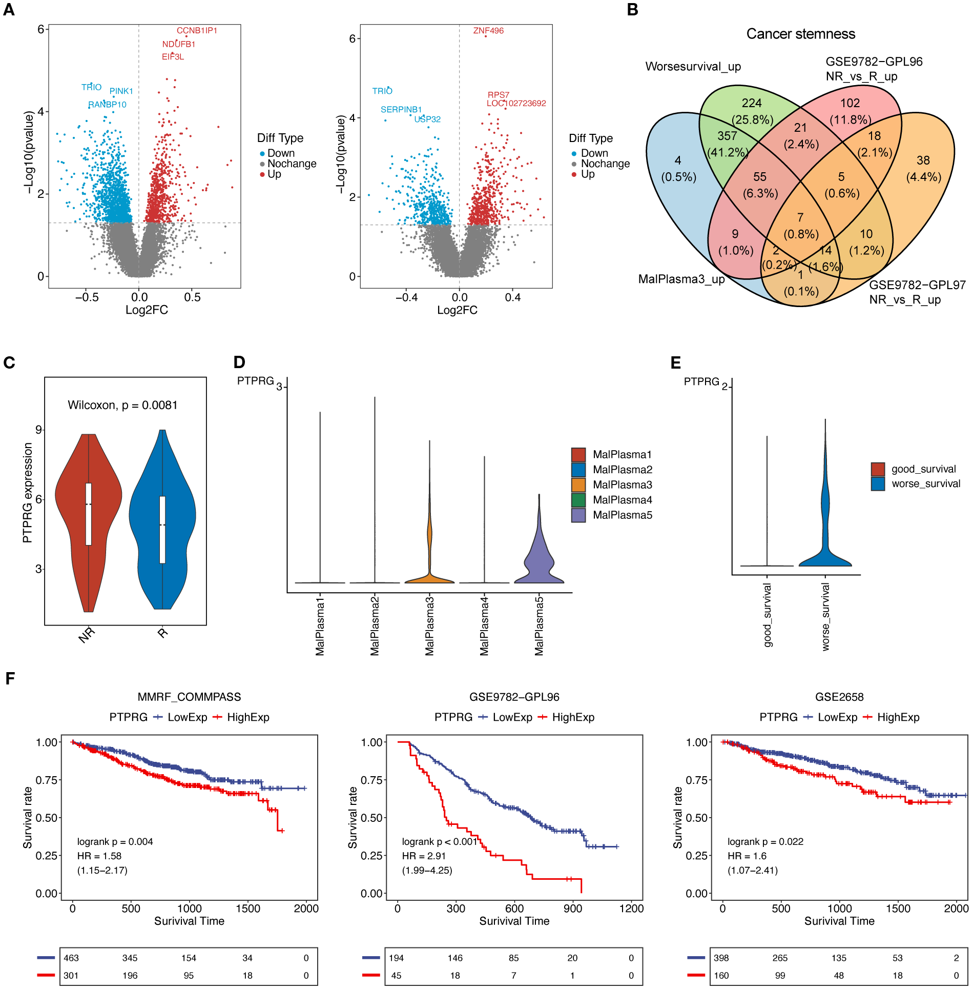 Panel A features two volcano plots displaying gene expression changes, highlighting up- and down-regulated genes. Panel B shows a Venn diagram comparing different cancer stemness gene sets. Panel C presents a violin plot of PTPRG expression between two groups with a p-value from the Wilcoxon test. Panel D depicts violin plots of PTPRG expression across various sample groups. Panel E shows a violin plot comparing PTPRG expression in groups with different survival outcomes. Panel F features three Kaplan-Meier plots illustrating survival rates based on PTPRG expression levels across different datasets.