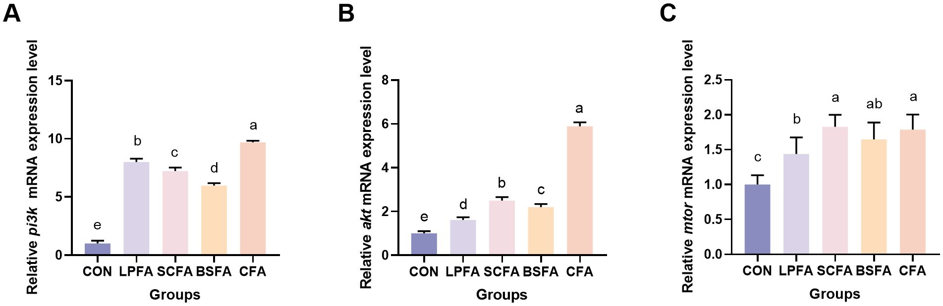Bar graphs labeled A, B, and C compare mRNA expression levels of pi3k, akt, and mtor across different treatments: CON, LPFA, SCFA, BSFA, and CFA. In graph A, expression peaks in CFA and is lowest in CON. Graph B shows highest expression in CFA and lowest in CON. Graph C displays similar maximum expression in SCFA, BSFA, and CFA with the lowest in CON. Letters above bars indicate statistical significance.