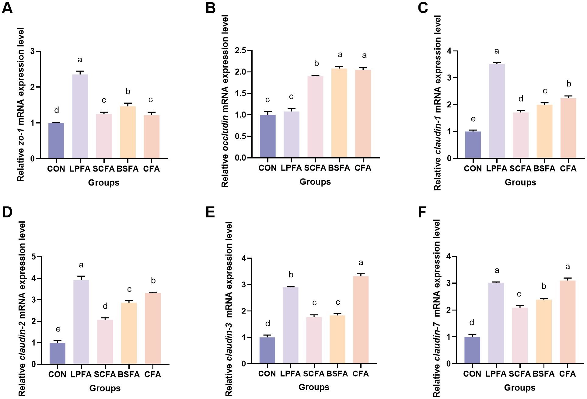Bar graphs labeled A to F compare the relative mRNA expression levels of different genes: zo-1, occludin, claudin-1, claudin-2, claudin-3, and claudin-7. Samples include CON, LPFA, SCFA, BSFA, and CFA. Each graph shows varying expression levels, with annotations for statistical differences (letters a to e) indicating comparisons between treatment groups.