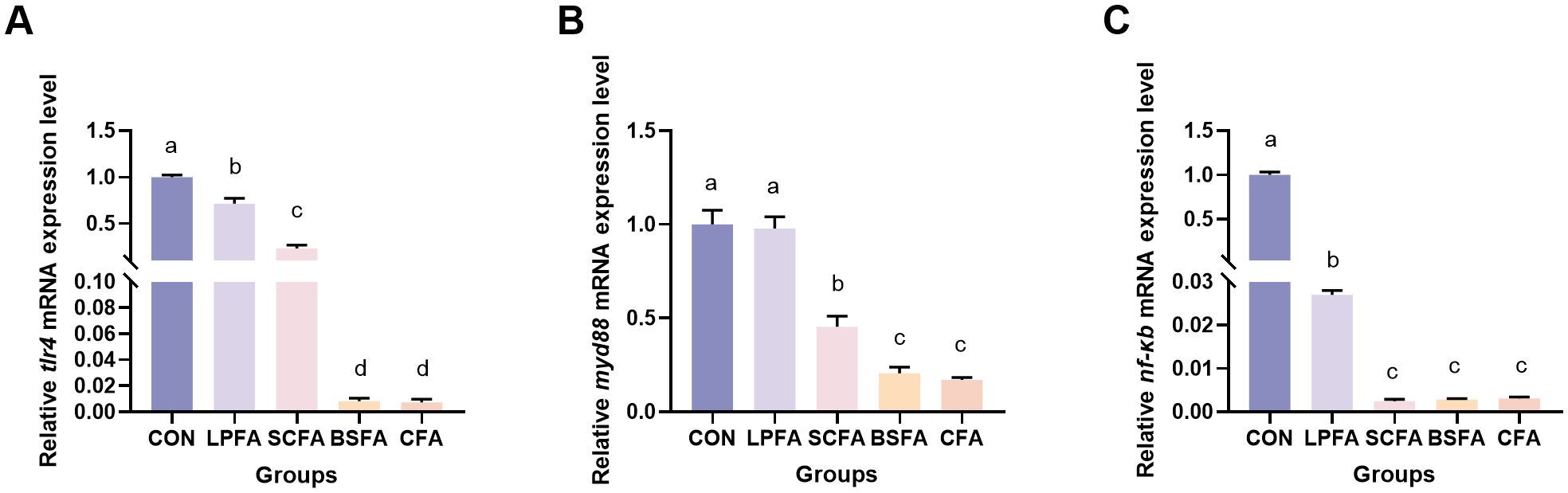 Bar charts labeled A, B, and C show relative mRNA expression levels for tlr4, myd88, and nf-kb. Groups compared are CON, LPFA, SCFA, BSFA, and CFA. Expression levels vary, with CON and LPFA generally higher, and SCFA, BSFA, and CFA lower. Bars are colored differently and labeled a, b, c, and d to indicate significant differences.