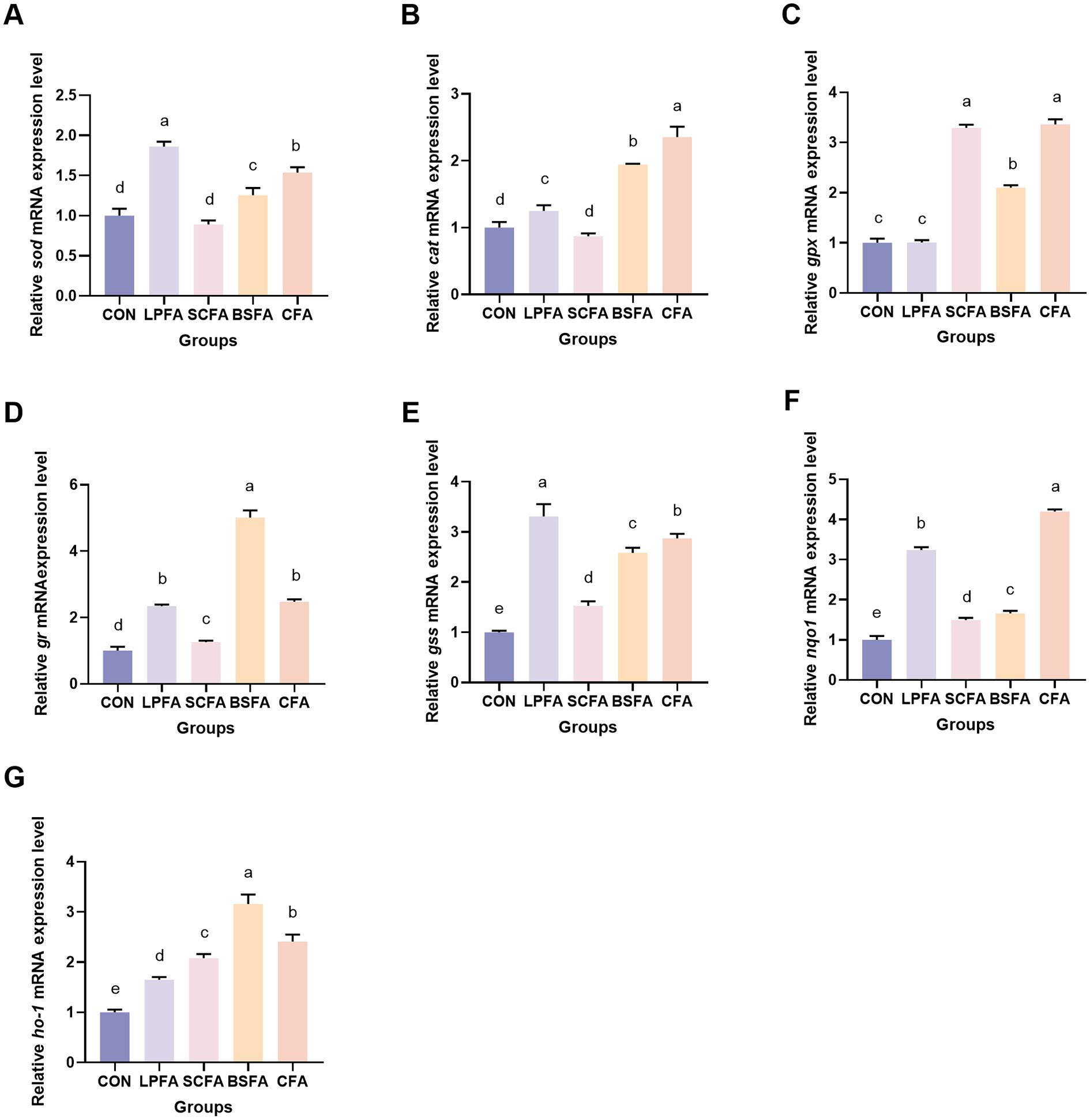 Bar graphs labeled A to G showing relative mRNA expression levels across five conditions: CON, LPFA, SCFA, BSFA, and CFA. Each graph displays different genes labeled as sod, cat, gpx, gr, gss, nrf2, and ho-1. Data indicate varying expression levels, with annotations (a-e) denoting statistical significance among conditions, where different letters indicate significant differences within each graph.