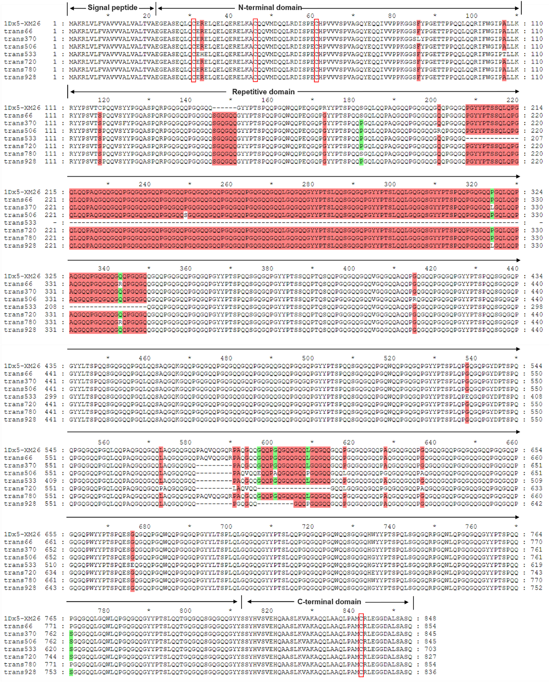 Protein sequence alignment showing regions labeled as signal peptide, N-terminal domain, repetitive domain, and C-terminal domain. Residues are indicated with color coding for conservation, highlighting specific sequence motifs and variations across different trans sequences.
