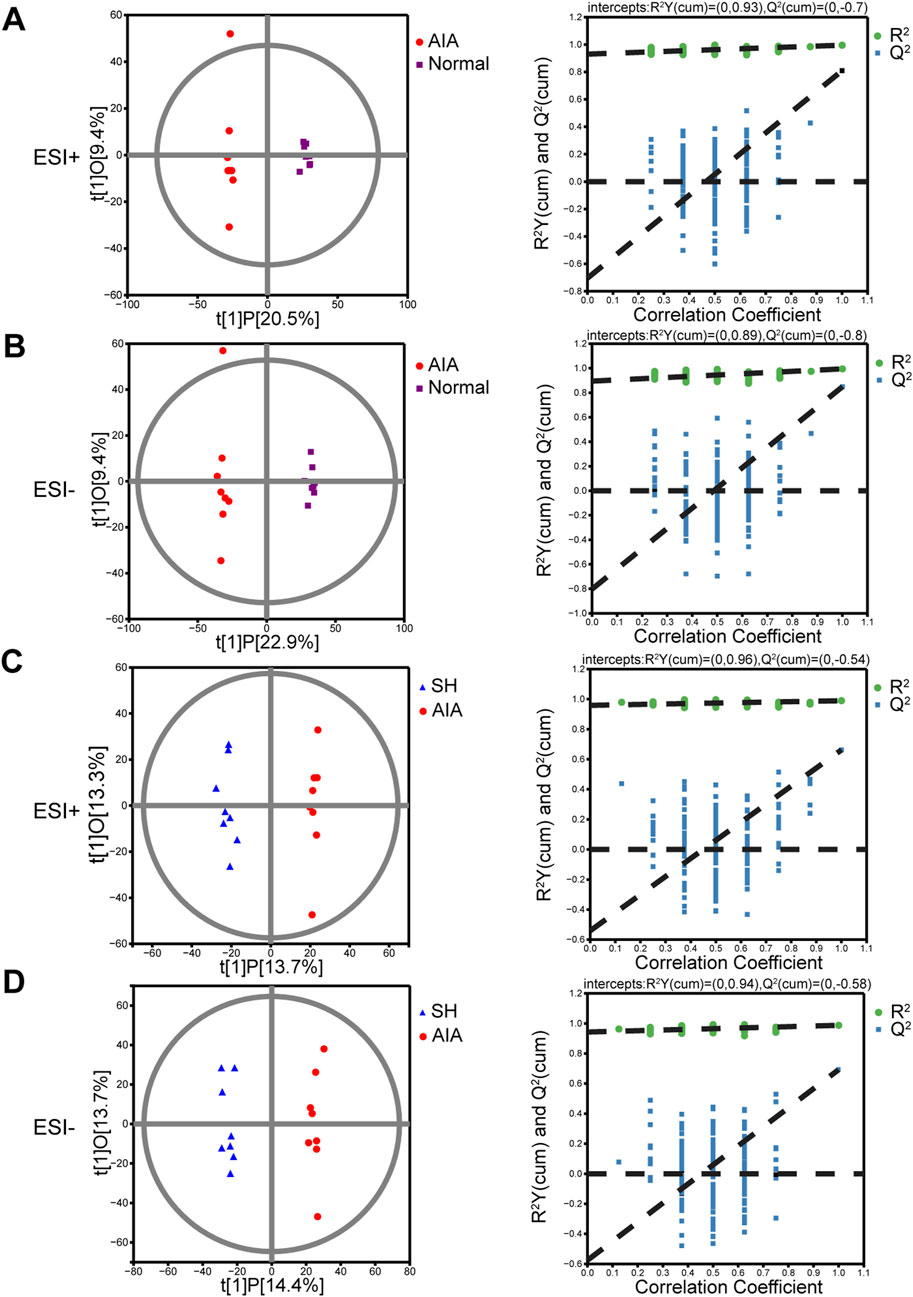 Four panels labeled A, B, C, and D display scatter plots and line graphs. Each scatter plot shows groupings of colored markers, indicating different data categories: red circles, purple squares, or blue triangles. Adjacent line graphs plot correlation coefficients with R² and Q² values marked with green and blue dots. Dashed lines represent intercepts for cumulative R²Y and Q² in each panel.