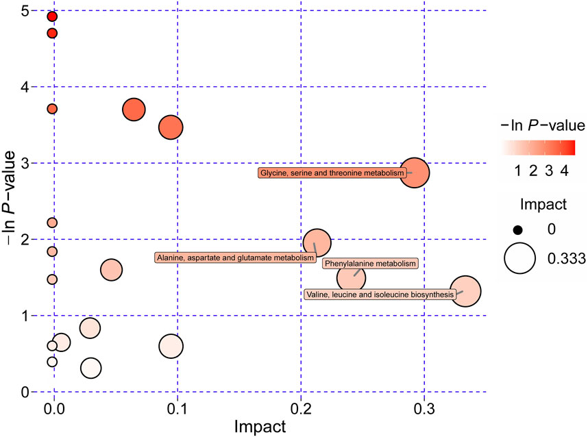 Scatter plot showing metabolic pathways with varying impact and significance. X-axis represents impact, Y-axis is the negative logarithm of the P-value. Bubble size indicates impact magnitude, and color intensity reflects P-value significance. Pathways include glycine, serine, and threonine metabolism; alanine, aspartate, and glutamate metabolism; phenylalanine metabolism; valine, leucine, and isoleucine biosynthesis.