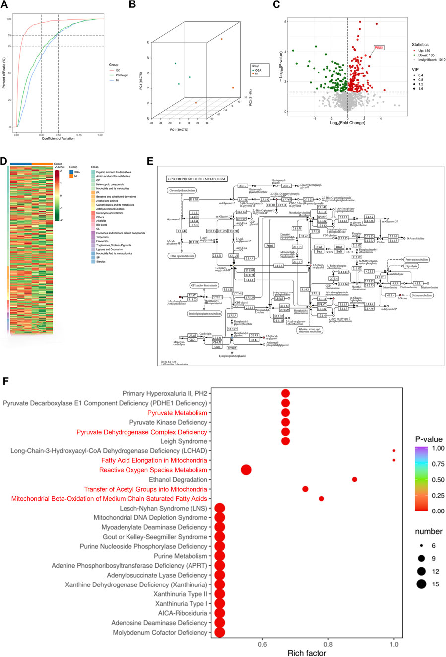 Six panels illustrate various data visualizations: A) Line graph showing variance explained in data by coefficient of variation with groups labeled GD, QA, and HF.B) 3D scatter plot displaying principle component analysis (PCA) of data points grouped by GD and QA.C) Volcano plot with genes represented by dots, highlighting a gene named PRDX1.D) Heat map showing hierarchical clustering of metabolites among groups, with a color scale indicating intensity.E) Metabolic pathway diagram detailing glyerophospholipid metabolism.F) Bubble chart mapping metabolic pathways against rich factors, with pathway names, bubble sizes reflecting the number and p-values indicating significance.