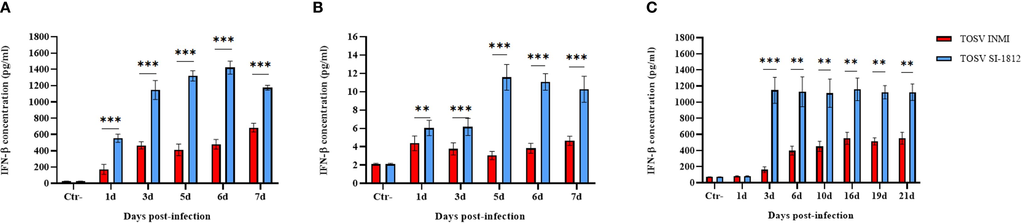 Bar graphs labeled A, B, and C show IFN-β concentration over time post-infection. Red bars represent TOSV INMI, and blue bars represent TOSV SI-1812. The cytokine concentration significantly increases in TOSV SI-1812 infected samples, as indicated by asterisks.