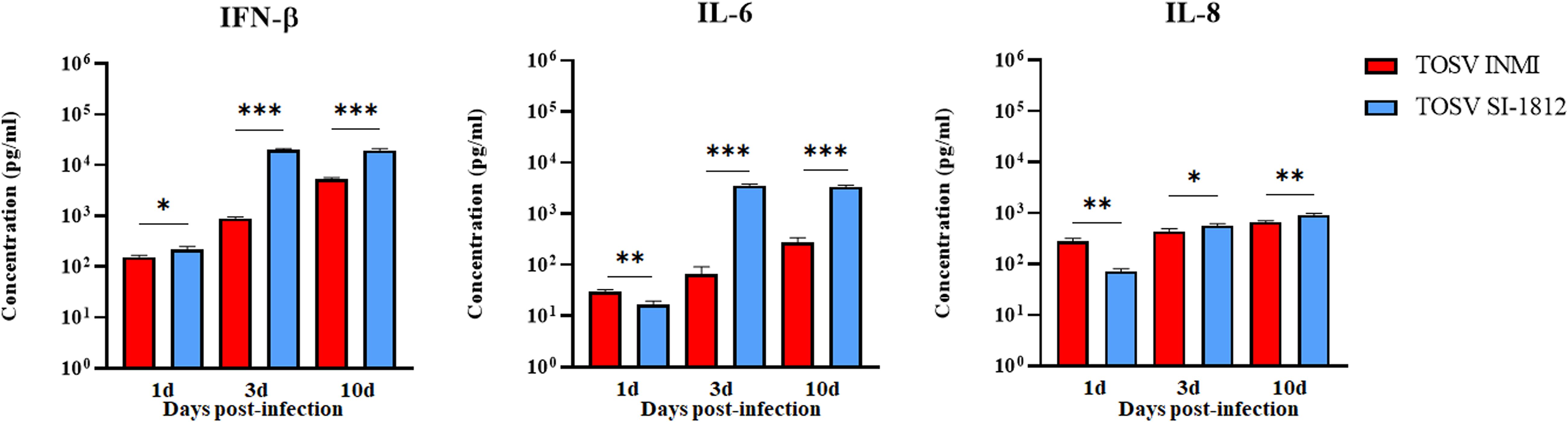 Bar charts display concentration levels of IFN-β, IL-6, and IL-8 as pg/ml at 1, 3, and 10 days post-infection. Two strains are compared: TOSV INMI (red) and TOSV SI-1812 (blue). Significant differences are indicated by asterisks.