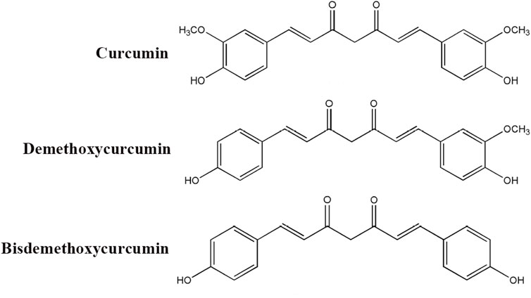 Chemical structures of curcumin, demethoxycurcumin, and bisdemethoxycurcumin. Curcumin has two methoxy groups and one hydroxyl group on each benzene ring. Demethoxycurcumin lacks one methoxy group. Bisdemethoxycurcumin lacks both methoxy groups.