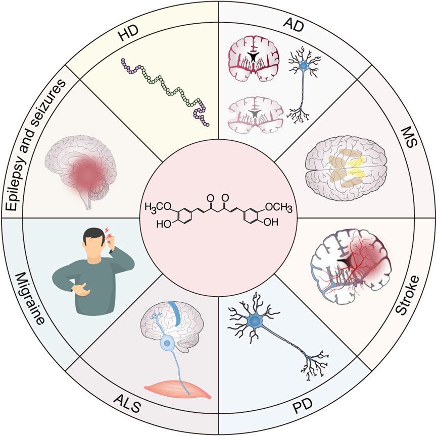 Illustration of neurological disorders in a circular diagram divided into segments: epilepsy, migraine, Huntington's disease (HD), Alzheimer's disease (AD), multiple sclerosis (MS), stroke, amyotrophic lateral sclerosis (ALS), and Parkinson's disease (PD). Each segment features related symbols and brain images, with a chemical structure at the center.