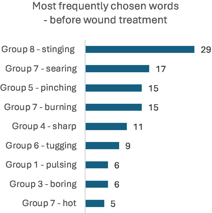 Bar chart titled "Most frequently chosen words - before wound treatment" displays the frequency of specific words. The words and their counts are: Grupa 8 - stinging (29), Grupa 7 - searing (17), Grupa 5 - pinching (15), Grupa 7 - burning (15), Grupa 4 - sharp (11), Grupa 6 - tugging (9), Grupa 1 - pulsing (6), Grupa 3 - boring (6), Grupa 7 - hot (5).