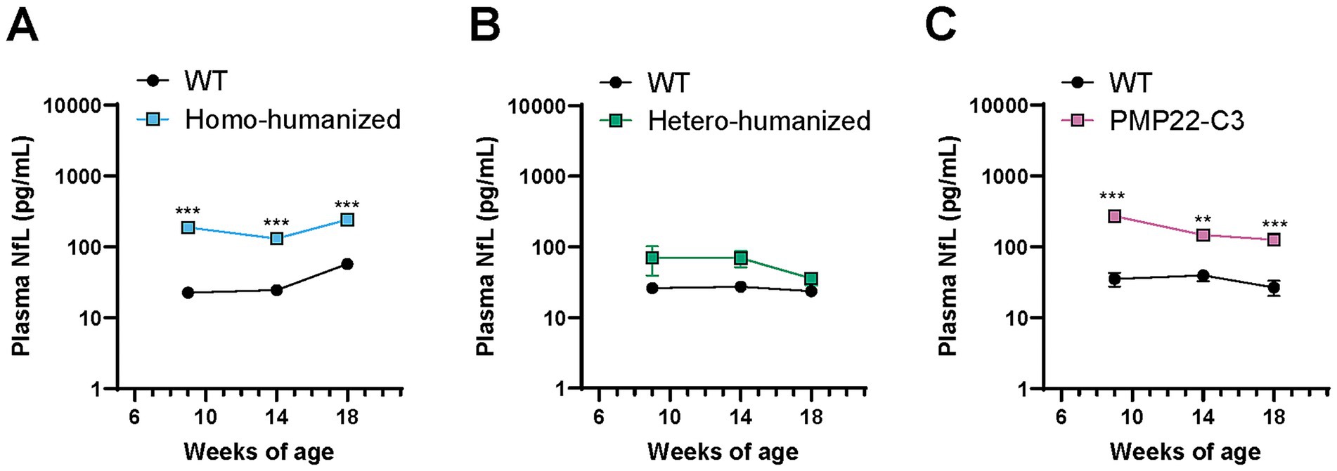 Line graphs labeled A, B, and C show Plasma Neurofilament Light (NfL) levels in picograms per milliliter over weeks of age. Graph A compares WT (wild type) to Homo-humanized, showing elevated levels in Homo-humanized with statistical significance indicated by asterisks. Graph B compares WT to Hetero-humanized, showing no difference within these groups. Graph C compares WT to PMP22-C3, indicating increased levels in PMP22-C3 with significant differences marked by asterisks.