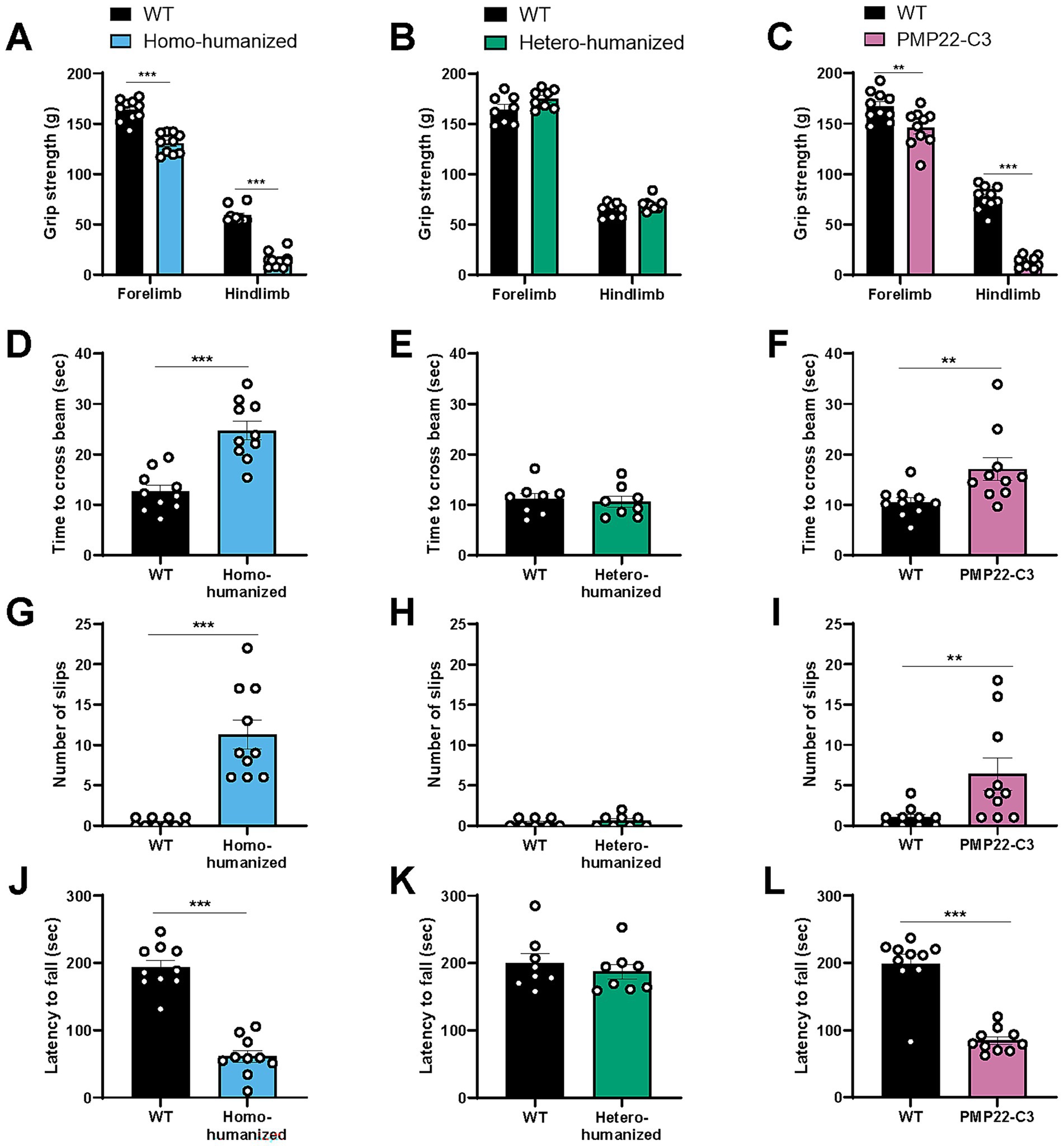 Bar charts labeled A to L compare various metrics between different groups: wild type (WT), Homo-humanized, Hetero-humanized, and PMP22-C3. The metrics include grip strength (A-C), time to cross a beam (D-F), number of slips (G-I), and latency to fall (J-L). Homo-humanized groups show decreased grip strength and increased slips compared to WT, while PMP22-C3 shows significant differences in all metrics. Statistical significance is indicated with asterisks.
