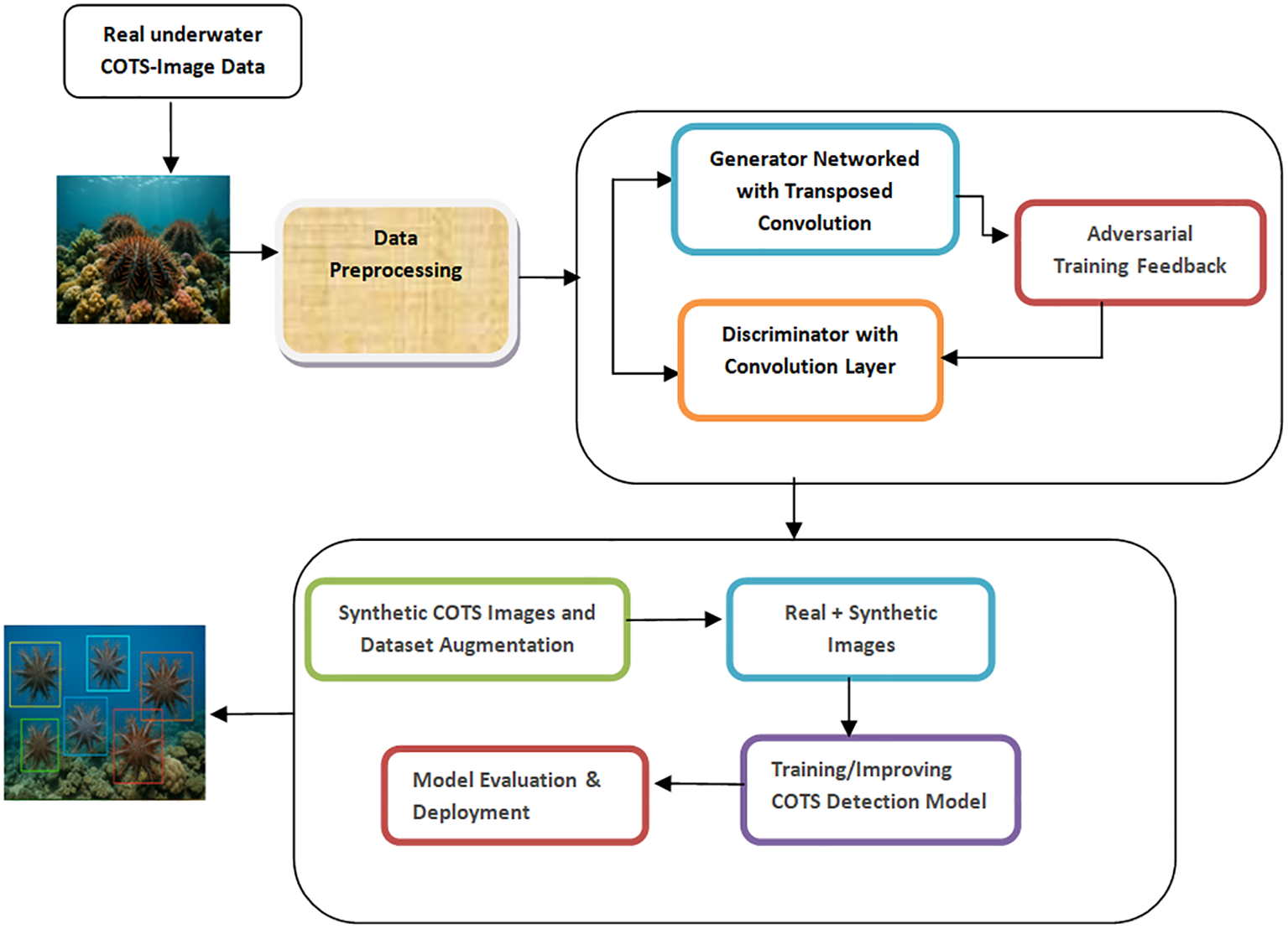 Flowchart illustrating a process for improving a crown-of-thorns starfish (COTS) detection model. It starts with real underwater COTS image data, followed by data preprocessing. Then the images are fed into a system using a generator networked with transposed convolution and a discriminator with a convolution layer, creating synthetic images through adversarial training feedback. These synthetic images undergo dataset augmentation. Real and synthetic images are combined to train and improve the COTS detection model, with model evaluation and deployment at the final step.