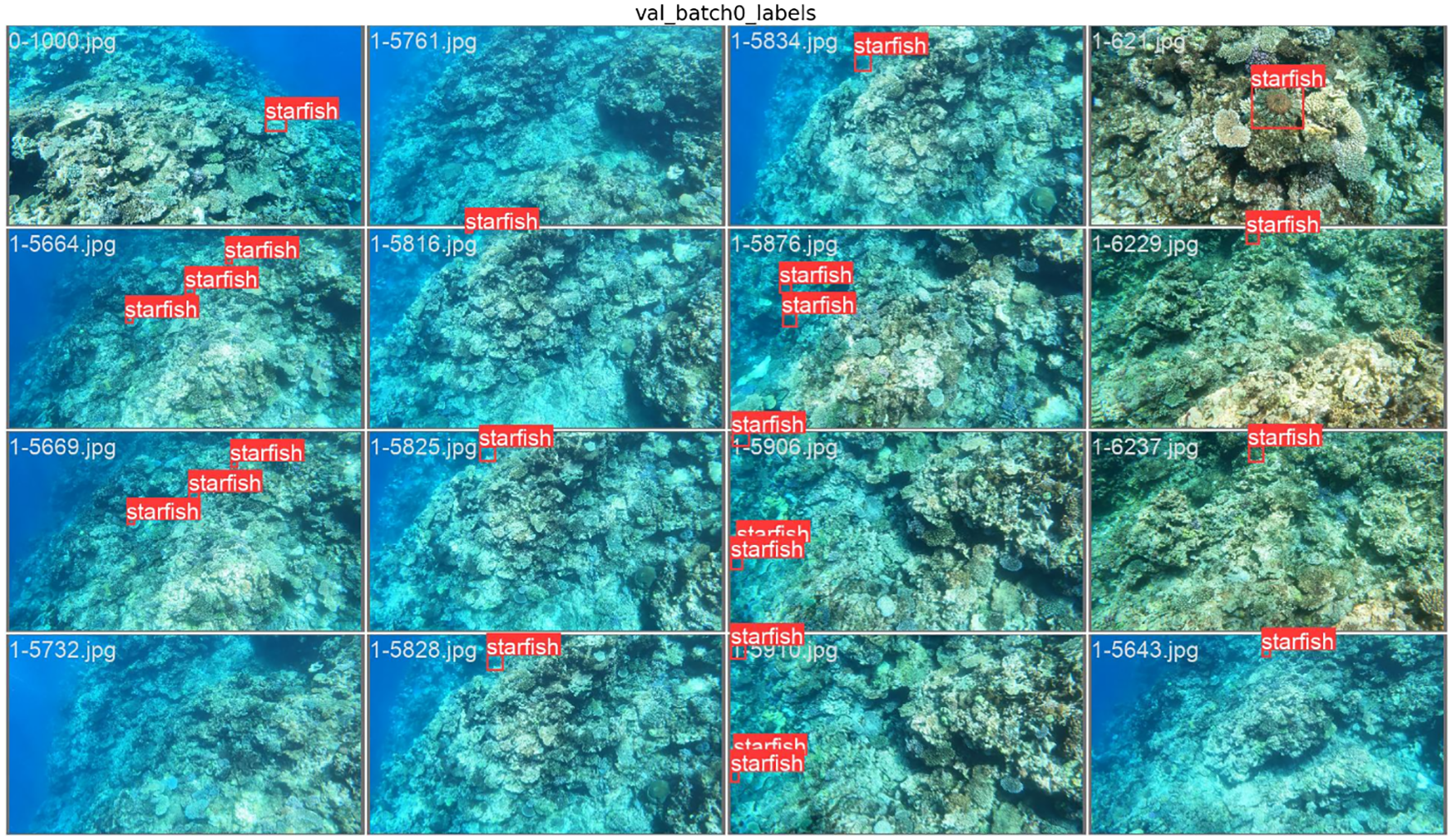 Underwater images of coral reefs with each panel labeled by file name. Some panels have red boxes indicating the presence of starfish, labeled as “starfish.” The background water is a clear blue, highlighting the reef structures.