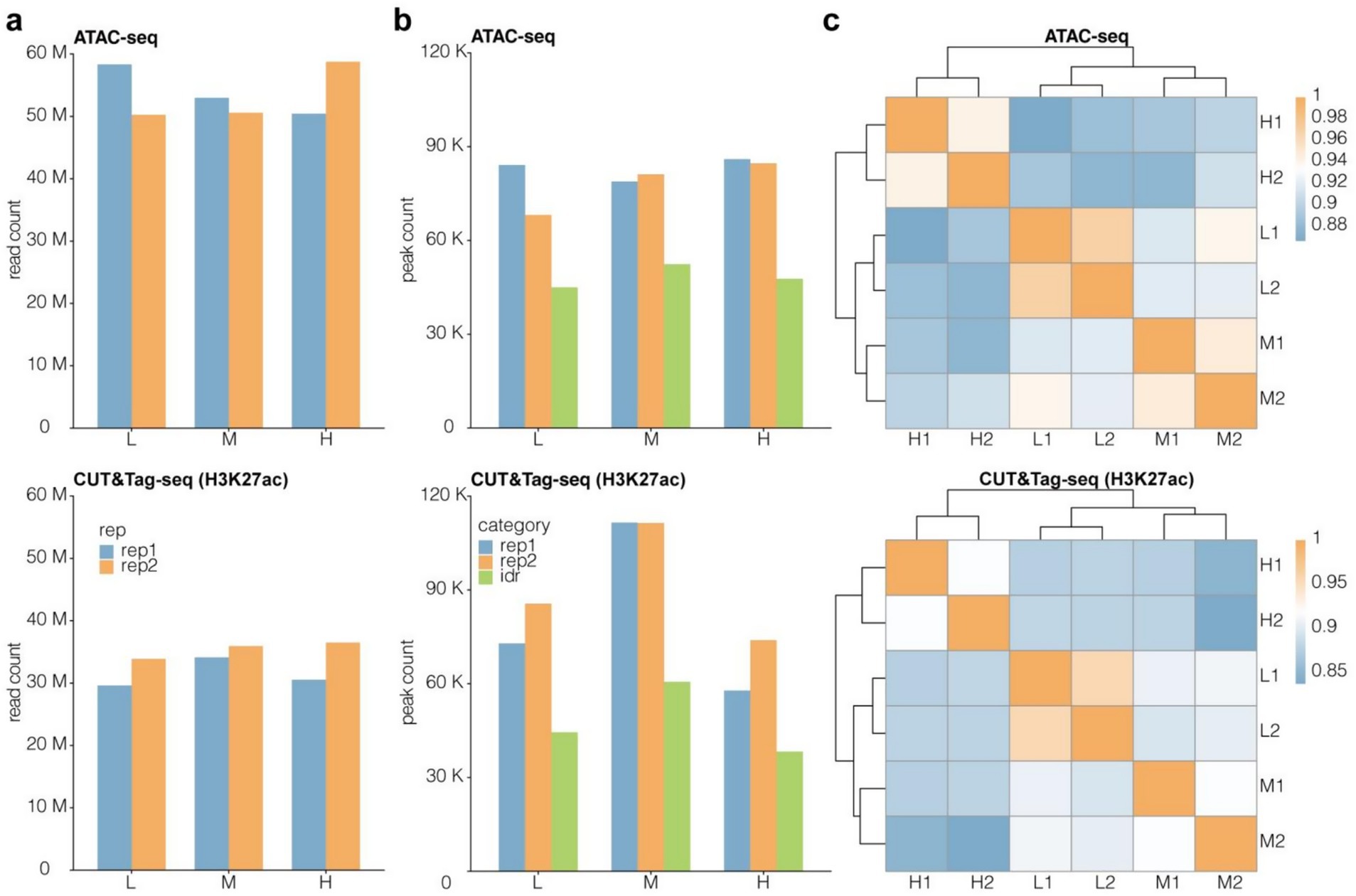 Four panels display data comparisons. Panel (a) shows bar charts of ATAC-seq and CUT&Tag-seq (H3K27ac) read counts for L, M, and H categories. Panel (b) shows corresponding peak counts. Panel (c) presents heatmaps with clustering for ATAC-seq and CUT&Tag-seq (H3K27ac) with categories labeled as H1, H2, L1, L2, M1, and M2. Colors represent varying levels of correlation. Legends indicate data categories with blue, orange, and green colors representing different replicates and IDR in bar charts.