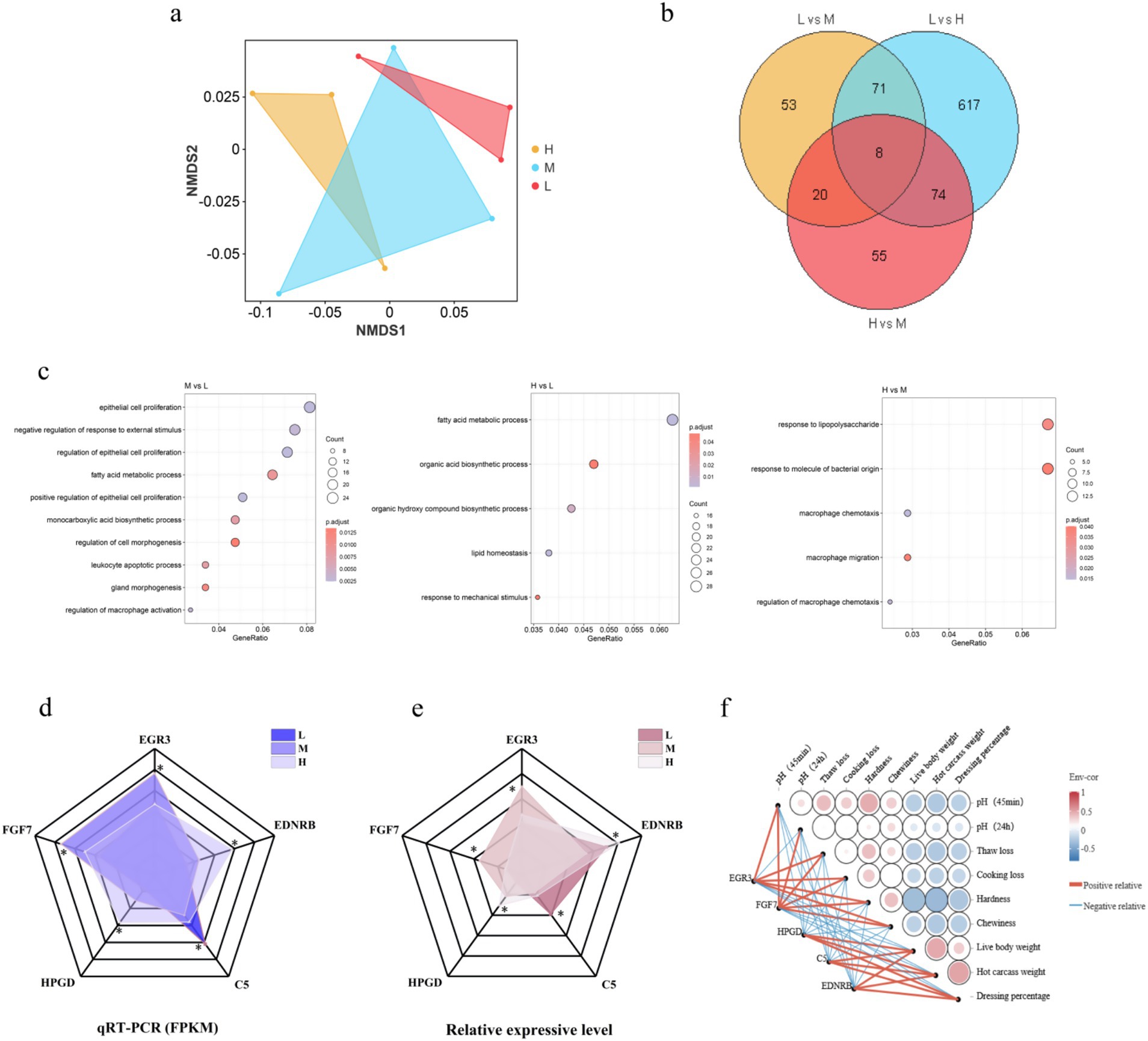 A composite image features six panels related to gene expression and biological analysis. Panel (a) shows an NMDS plot with overlapping colored polygons representing groups H, M, and L. Panel (b) displays a Venn diagram visualizing overlaps among three conditions: L vs M, L vs H, and H vs M, with numerical intersections. Panel (c) consists of three bubble charts illustrating gene ontology enrichment related to biological processes, with size and color indicating gene ratio and p-adjust value. Panels (d) and (e) are radar charts comparing qRT-PCR and relative expression levels of genes FGF7, HPGD, EGR3, EDNRB, and CS across conditions L, M, and H. Panel (f) presents a correlation matrix of various traits with color-coded positive and negative correlations.