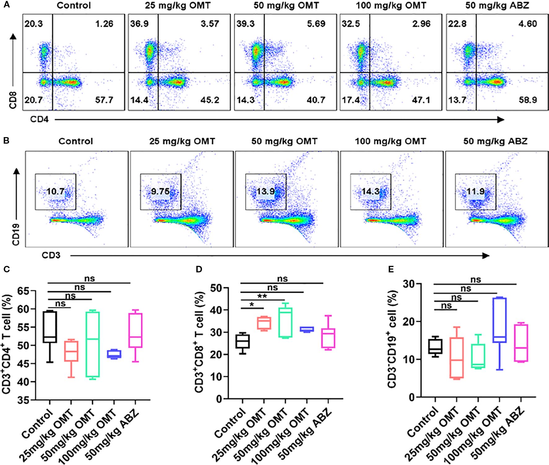 Flow cytometry plots and box plots analyzing immune cell populations under different treatments. Panel A shows CD4 and CD8 T cell distributions. Panel B displays CD3 and CD19 cell distributions. Panels C, D, and E present box plots of CD3+CD4+, CD3+CD8+, and CD3+CD19+ cell percentages, respectively, comparing control, 25 mg/kg OMT, 50 mg/kg OMT, 100 mg/kg OMT, and 50 mg/kg ABZ treatments. Significant differences are marked with asterisks.