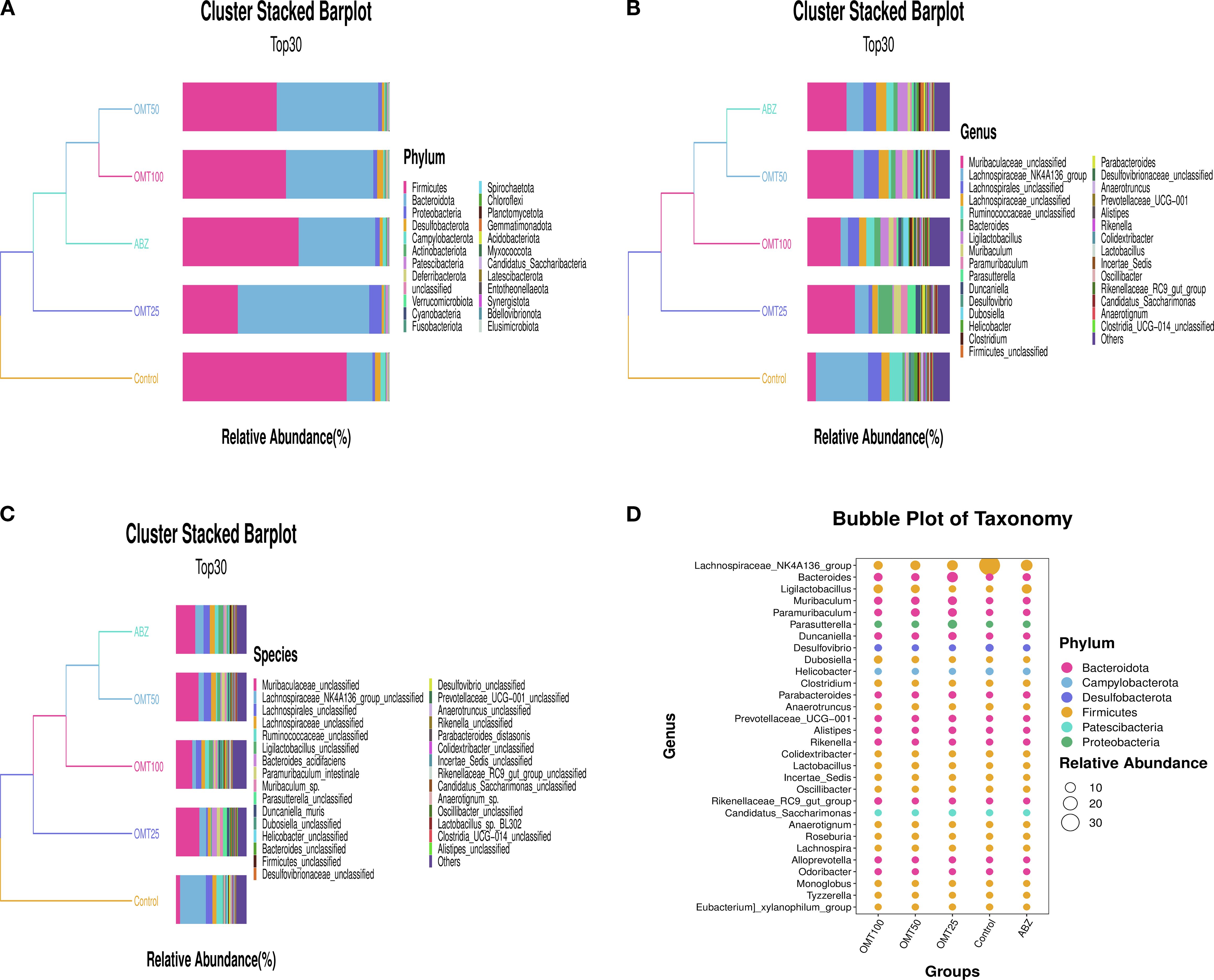 Panel A shows a cluster stacked bar plot of the top 30 phyla with relative abundance percentages compared across different groups. Panel B displays a similar bar plot for the genus level. Panel C presents the species level stacked bar plot. Each plot includes a dendrogram on the left. Panel D is a bubble plot of taxonomy across groups, with bubble size indicating relative abundance and colors representing different phyla.