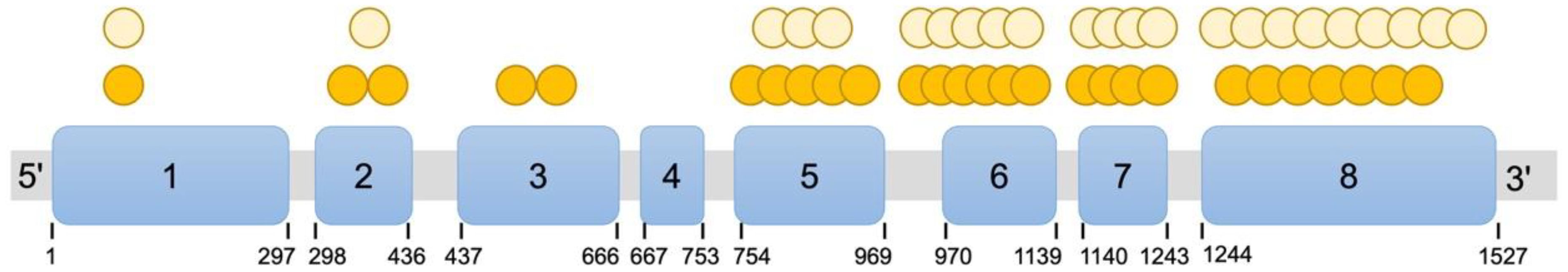 Diagram showing eight blue labeled segments numbered one to eight represent the gene CYP17A1. Orange and yellow circles are distributed above segments represent the number of variants.