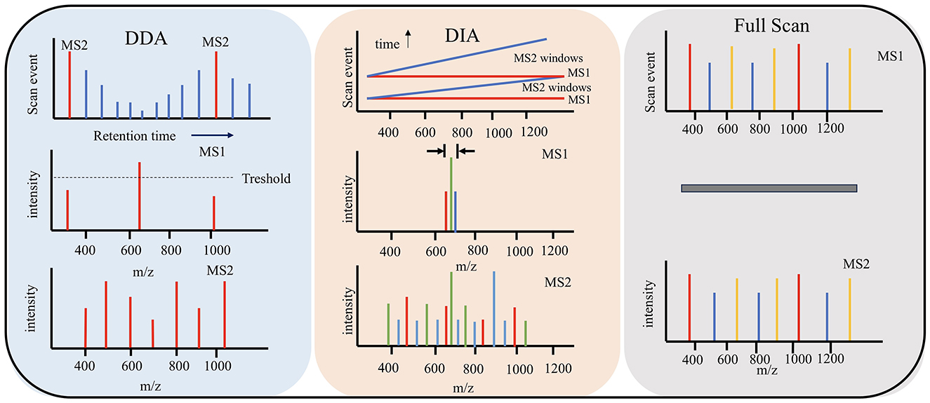 Diagram comparing three mass spectrometry techniques: DDA, DIA, and Full Scan. DDA shows separate MS1 and MS2 events over time with intensity thresholds. DIA illustrates continuous MS1 with overlapping MS2 windows, capturing more comprehensive data. Full Scan displays uniform MS1 and MS2 coverage, indicating complete data acquisition across m/z range without gaps. Each section includes plots of scan events and intensity against m/z values.