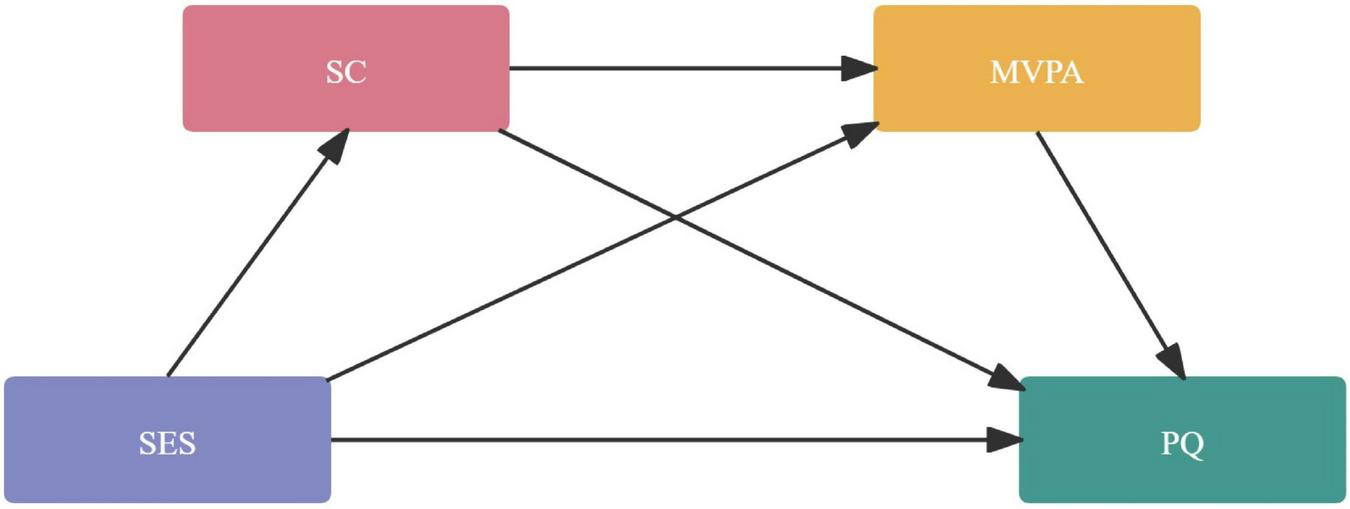 Flowchart illustrating relationships between four elements: SC to MVPA and PQ, SES to SC, MVPA, and PQ, and MVPA to PQ. Arrows indicate direction.