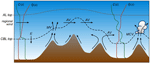 www.frontiersin.org