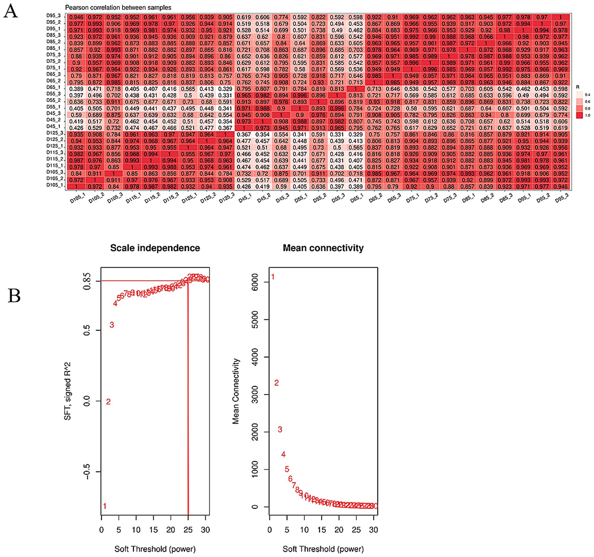 Panel A is a heatmap displaying Pearson correlation coefficients between samples, with varying shades of red representing correlation strength. Panel B has two plots: the left plot shows scale independence (SFT signed R^2) as a function of soft threshold power, and the right plot shows mean connectivity versus soft threshold power. Each plot is labeled with numbers representing data points.