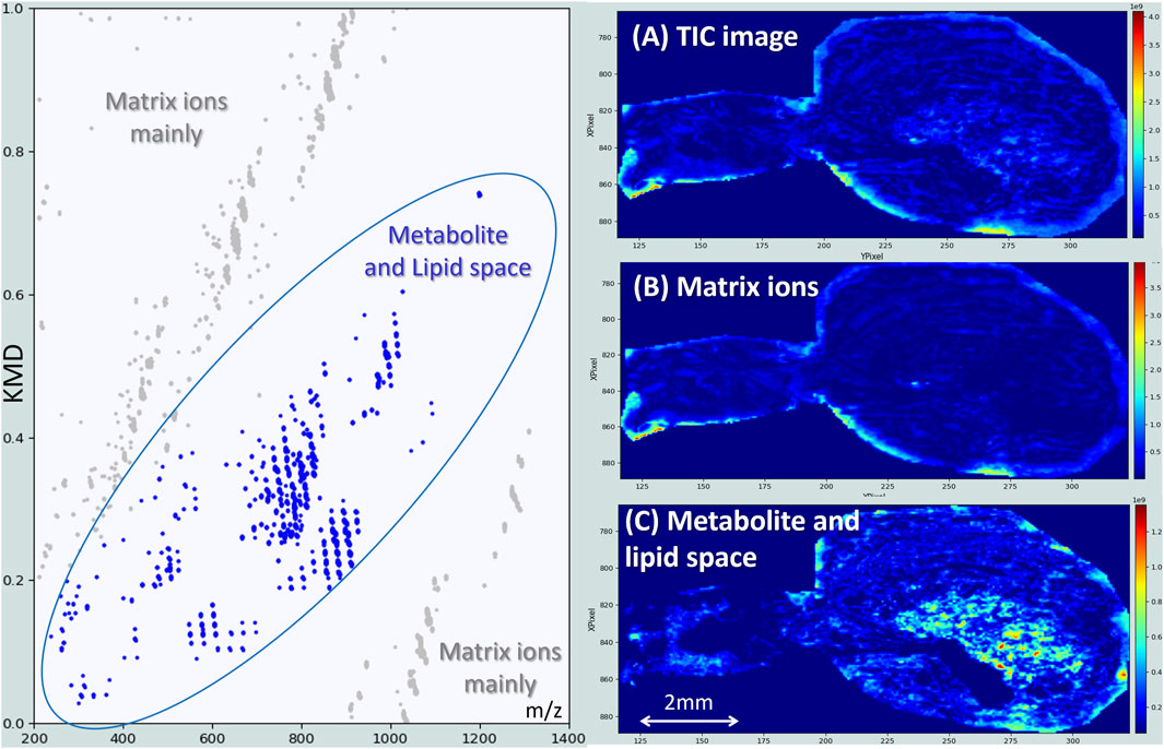 Scatter plot on the left shows KMD versus m/z with grey dots indicating matrix ions and blue dots representing metabolite and lipid space. Right images include (A) a TIC image, (B) matrix ions, and (C) metabolite and lipid space, highlighted in blue and yellow with a 2 mm scale bar.
